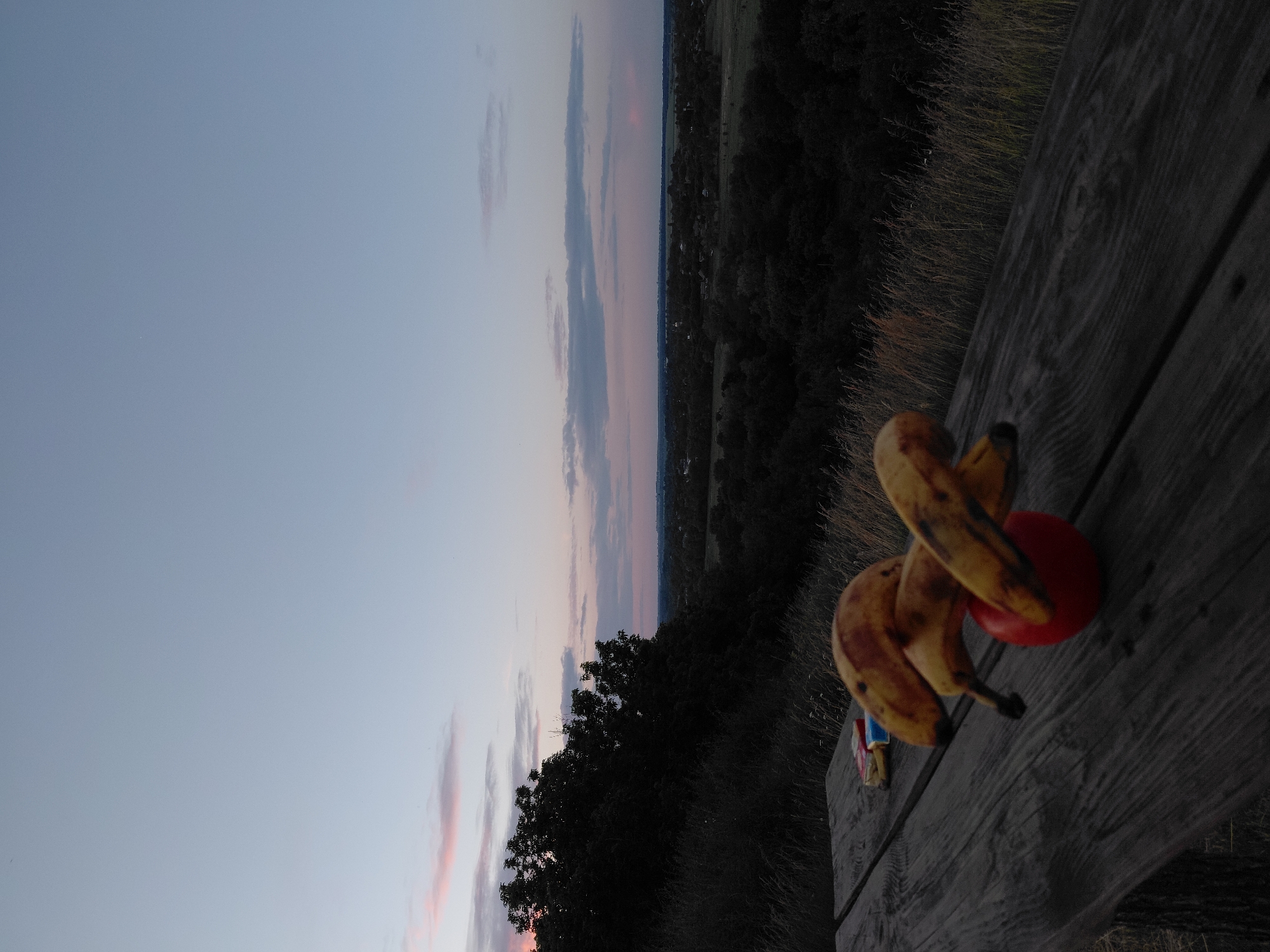 This image depicts an outdoor scene at dusk, likely in or near Ustyvytsia, Ukraine. In the foreground, a weathered wooden picnic table is set with two bunches of bananas and a red apple. To the left of the fruit, a pack of cigarettes rests on the table. The table is situated on a grassy hillside overlooking a valley filled with trees and scattered buildings, suggesting a rural or semi-rural environment. The sky above is a gradient of soft blues and pinks, characteristic of a sunset or twilight. The overall mood is tranquil and naturalistic, with the darkening landscape contrasting with the brightly colored fruit.