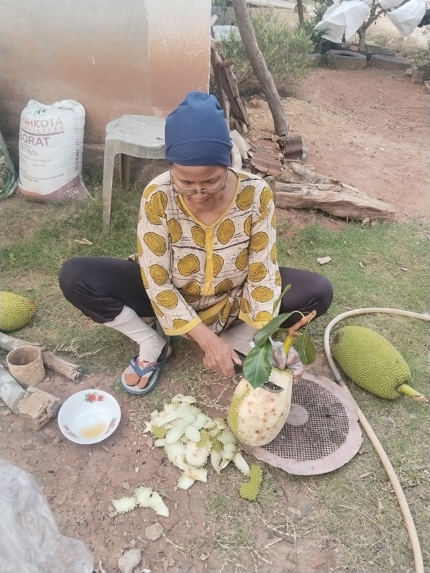 In Suka Ramai, Indonesia, a woman is squatting on the ground in an outdoor setting, preparing to cut a jackfruit. She is wearing a blue head covering, glasses, a patterned yellow and white shirt, dark pants, and sandals. In front of her, a partially cut jackfruit rests on a round metal grate. Nearby, a white bowl contains a small amount of yellow liquid, and several pieces of jackfruit peel are scattered on the ground. To her left, another jackfruit is visible on the grass. The environment appears to be a rural or semi-rural area with dirt ground, patchy grass, and some vegetation in the background. A large white bag labeled "MAHKOTA FERTILIZER BORAT" is situated to the left of the woman. The scene suggests a domestic activity related to food preparation in a natural or agricultural environment.