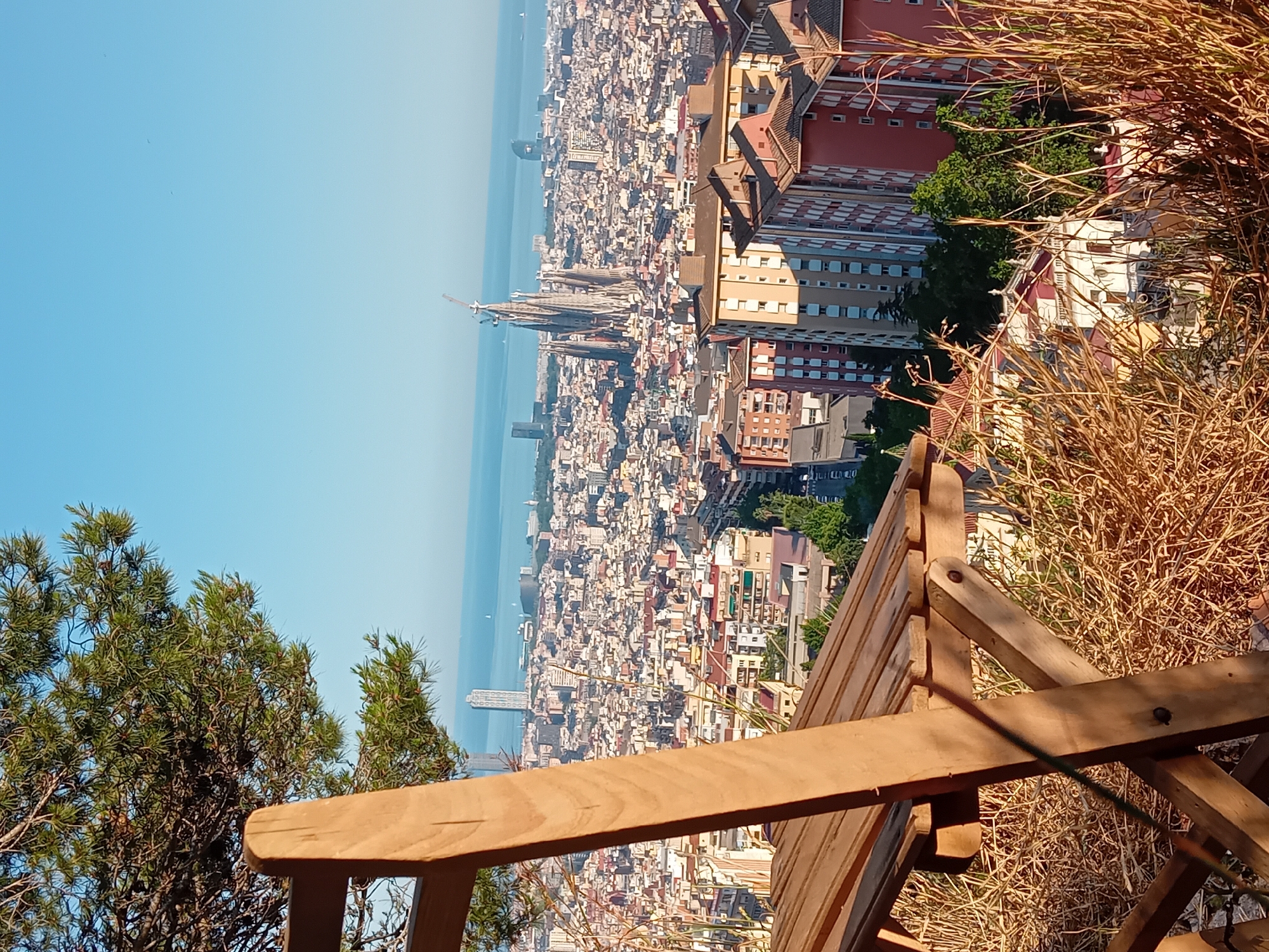 The image presents an elevated view of Barcelona, Spain, captured from a vantage point above the urban landscape. In the foreground, a wooden bench occupies a portion of the frame, positioned in front of dry foliage and a green tree. The cityscape sprawls extensively, revealing densely packed buildings extending toward the Mediterranean Sea, visible as a blue expanse in the distance. Notable within the urban setting is the Sagrada Familia, its spires distinct against the backdrop of the city and sky. The image appears to have been taken during daylight hours under clear weather conditions. The orientation of the image is rotated ninety degrees counter-clockwise.