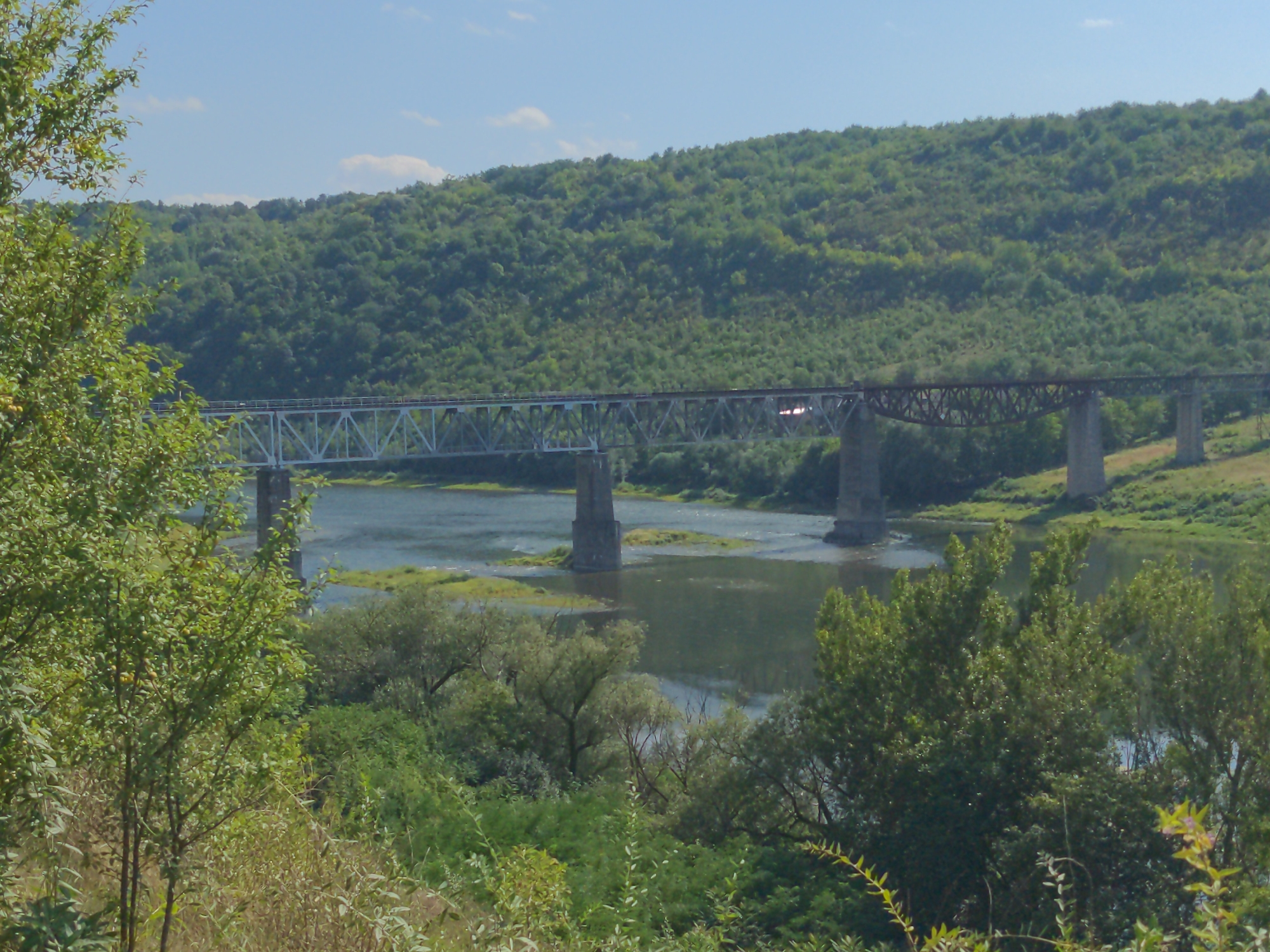 This is a wide shot of the Zalishchyky Bridge, a railway bridge that spans the Dniester River in Zalishchyky, Ukraine. The bridge is a steel truss structure with stone supports, and a train is visible crossing it. The surrounding landscape is lush and green, with rolling hills covered in trees and a calm river. The sky is clear and blue with a few scattered clouds. The foreground shows a dense area of vegetation with some dry grasses and bushes.