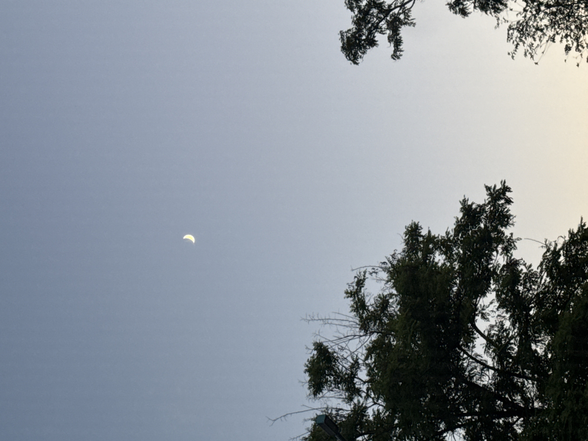 The image captures a crescent moon in a pale blue sky, visible above the silhouettes of trees. The trees are dense with foliage, with some branches bare and reaching upwards. A dark object, possibly a lamppost, is visible on the left side of the frame, partially obscured by leaves. The sky transitions from a lighter shade at the horizon to a deeper blue at the top. The scene appears to be set in an outdoor environment, likely at dusk or dawn, given the presence of the moon and the soft lighting. The location is specified as Mariupol, Ukraine. There are no people or discernible human activity present in the image.