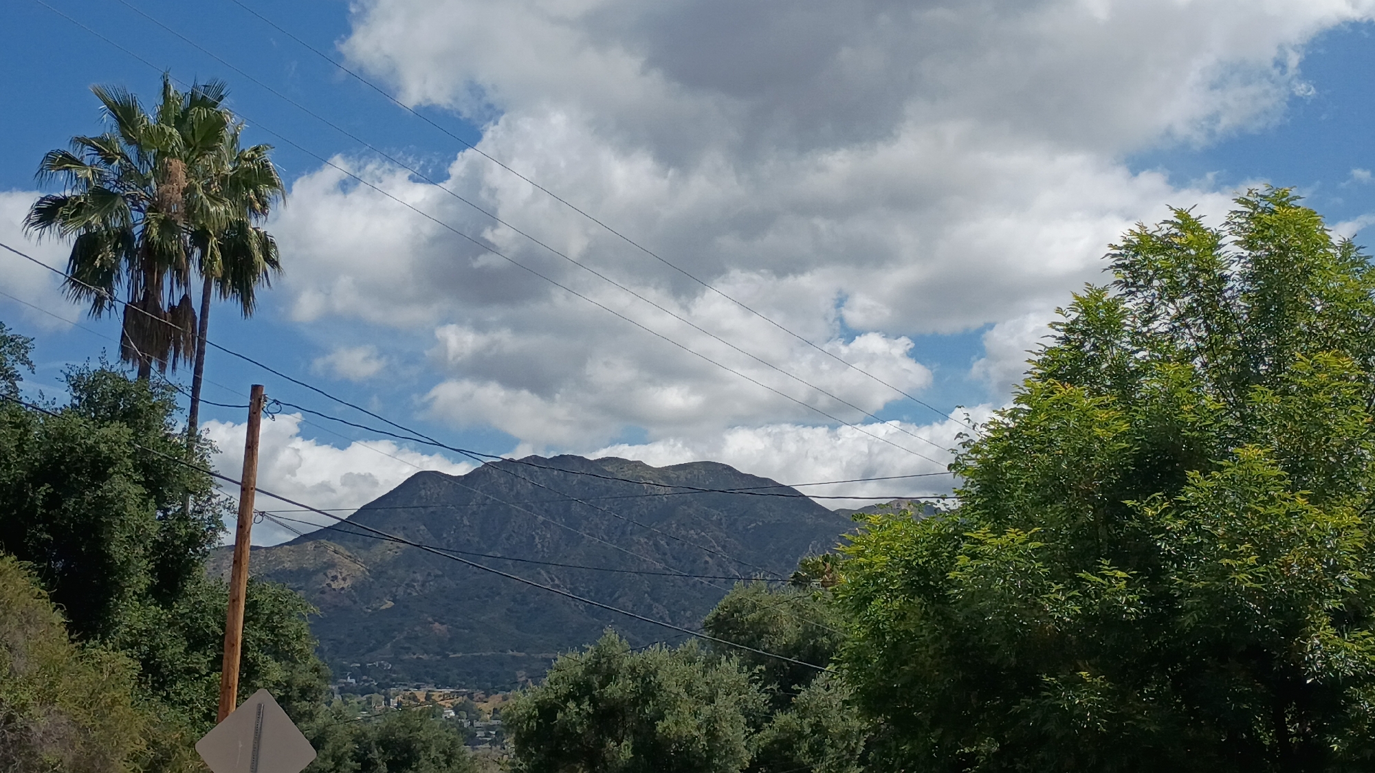 The image presents a daytime landscape dominated by a mountainous backdrop, lush vegetation, and a dynamic sky. A large, dark-colored mountain range, covered in natural foliage, spans the mid-ground, with faint glimpses of residential structures nestled at its base.
In the foreground and mid-ground, a variety of green trees and bushes frame the view. A tall palm tree, showing some brown or dry fronds, stands prominently on the left side. Beneath it, a wooden utility pole is visible, supporting multiple black power lines that stretch horizontally across the frame. A white, diamond-shaped sign, positioned with its back to the viewer, is partially seen at the bottom left corner.
The sky is a bright blue, adorned with numerous fluffy white cumulus clouds, suggesting a partly cloudy but sunny day. The clear illumination indicates the time of day is likely late morning or early afternoon. The combination of palm trees, mountains, and the general urban-adjacent natural environment is consistent with the provided location context of Los Angeles, United States of America. No specific activity or event is taking place, and no text is visible within the image.