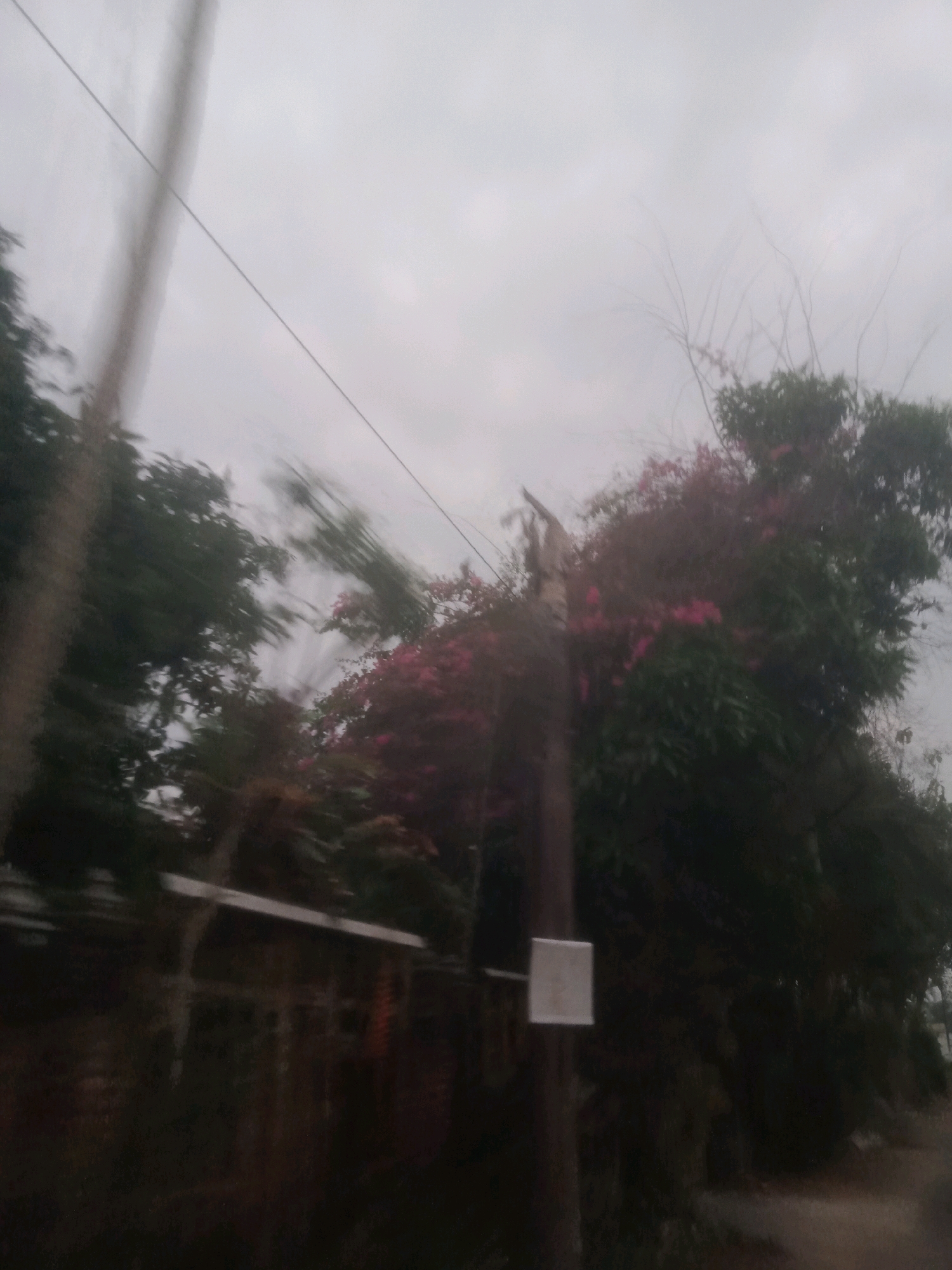 The image shows a slightly blurred view of a street scene, likely in Badas, Indonesia, given the context. The sky is overcast and appears light gray. A utility pole, blurred by motion, stands prominently in the foreground. A small, white, square object is attached to the pole. To the right of the pole, there are trees with dark green foliage and some vibrant pink flowers. Further in the background, to the left, a section of a building with a horizontal white element is visible, along with more trees. A power line stretches across the upper portion of the image. The ground appears to be a dirt or gravel road. The overall impression is that the photo was taken from a moving vehicle, resulting in motion blur.