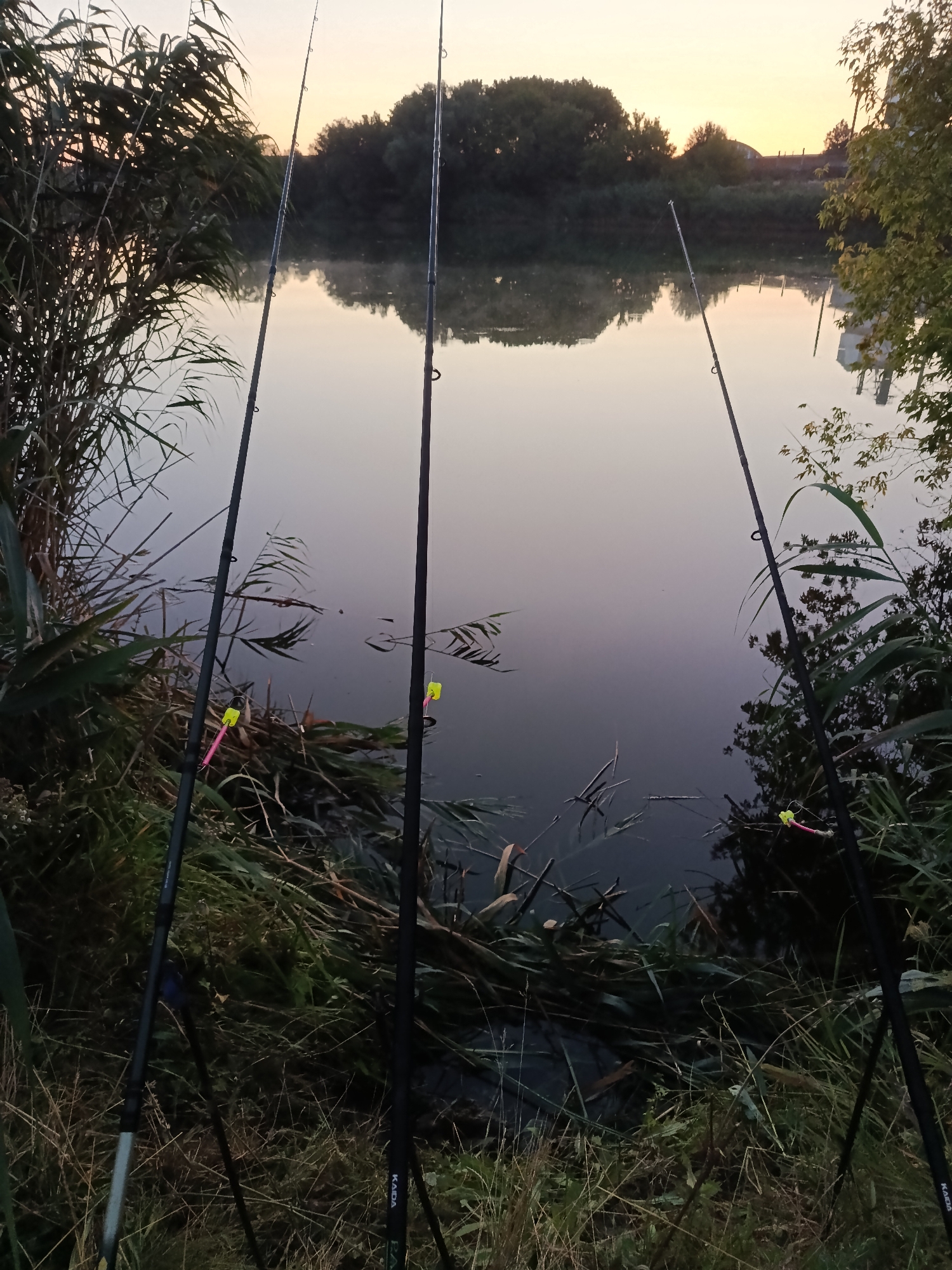 A serene, early morning scene unfolds by the water's edge, with three fishing rods poised for action. The rods stand upright, their tips casting thin lines into the calm, reflective surface of a body of water. A gentle mist hovers just above the water, adding an ethereal quality to the dawn light. The surrounding banks are lush with tall reeds and grasses, some of which dip into the water, creating a natural, untamed atmosphere. The sky above is painted with soft hues of orange and pink, indicative of a sunrise. In the distance, a line of trees forms a dark silhouette against the brightening sky, and beyond them, faint structures suggest a nearby settlement. The overall impression is one of quiet anticipation and the peaceful solitude of nature at the break of day.
