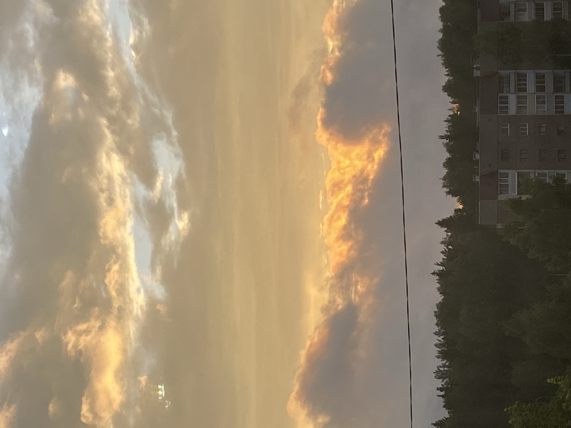 The image depicts a view of the sky above a forest and apartment buildings in the city of Markovsky, Russia. The sky is filled with clouds, with a band of warm, orange light visible through a gap in the lower cloud layer, suggesting either sunrise or sunset. The clouds are a mix of gray and yellowish-orange hues. Below the sky, a dense line of dark green trees forms a treeline. Peeking over the treeline are the tops of several apartment buildings, characterized by their multiple floors, rows of windows, and balconies. The buildings appear to be constructed from concrete or similar materials and have a muted color palette. A thin, dark horizontal line, likely a power line or cable, is visible in the sky, crossing above the treeline. The overall scene is natural and urban, with a focus on the atmospheric conditions and the cityscape.