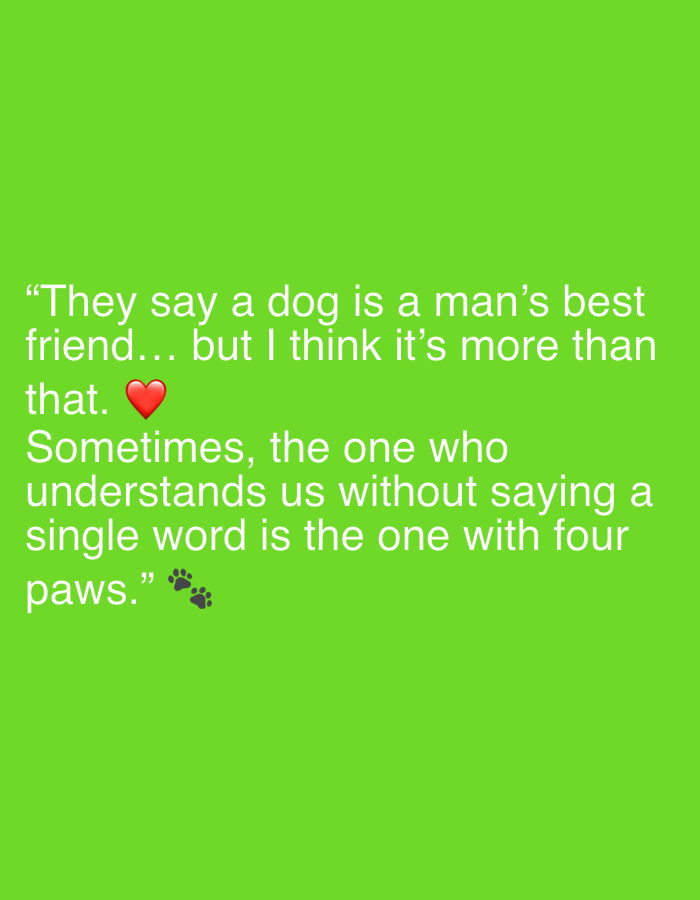 A white text quote is displayed on a bright green background. The quote reads: "They say a dog is a man's best friend... but I think it's more than that. ❤️ Sometimes, the one who understands us without saying a single word is the one with four paws." Below the quote are two small, dark paw prints.