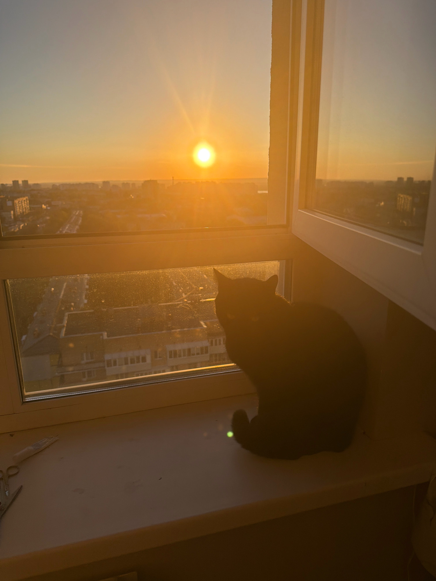 A black cat sits on a windowsill, silhouetted against a sunset over a city. The sun is a bright orb in the sky, casting a golden glow over the buildings below. The cat is facing away from the camera, looking out at the view. The windowsill is white and there is some clutter on it, including a pair of scissors and a small tube. The scene appears to be in an apartment building, likely in the city of Samara, Russia. The overall mood is peaceful and contemplative.