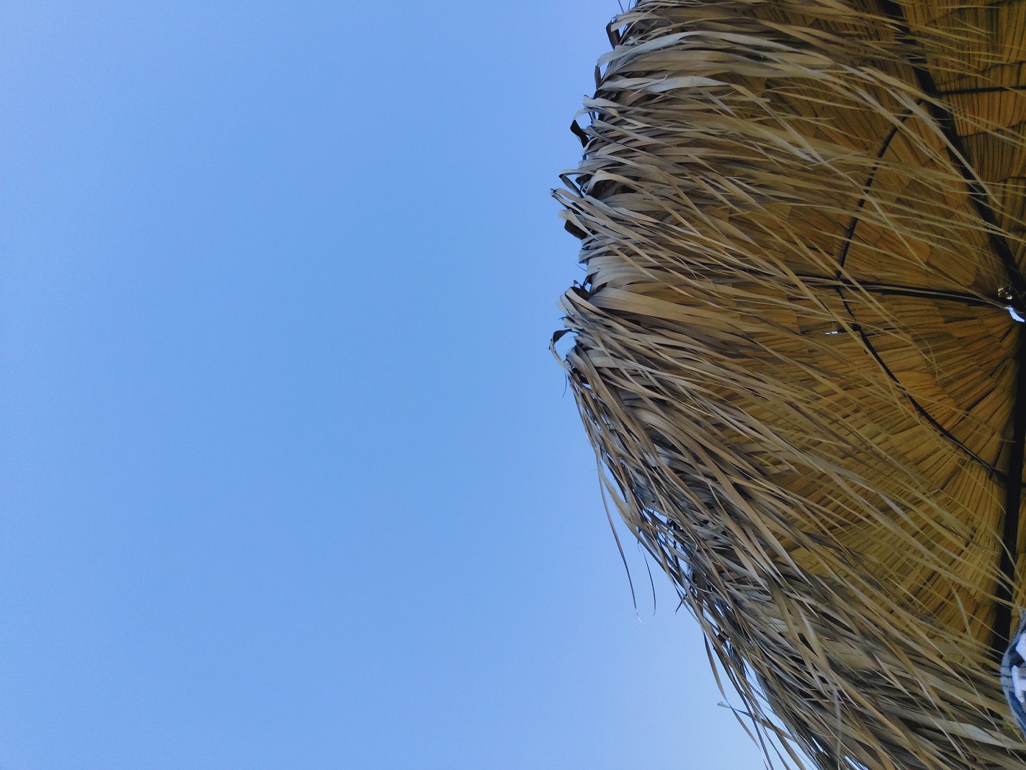 The image shows a thatched roof against a clear blue sky. The roof is made of dry palm leaves or straw, with some of the strands blowing in the wind. The perspective is looking up from below, suggesting the viewer is standing beneath the roof. The overall impression is of a tropical or Mediterranean setting. There are no people or animals visible in the image. The lighting suggests it is daytime, likely a sunny day. There are no visible landmarks or context to place this image specifically in Sozopol, Bulgaria, beyond the provided information. The details are limited to the roof and the sky.
