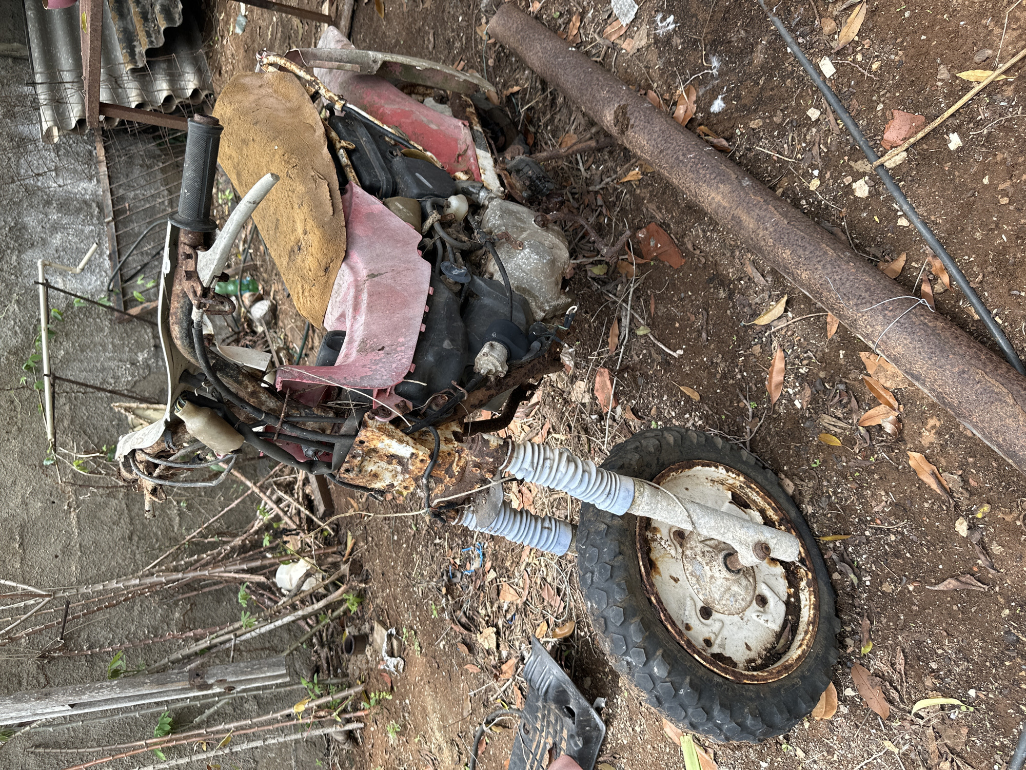 The image, taken in Sabana de Guacuco, Venezuela, depicts an abandoned and heavily degraded motor scooter or moped resting on dry, reddish-brown earth.
The primary subject is a two-wheeled vehicle exhibiting severe corrosion and material degradation. The front wheel features a black knobby tire with a white metal rim that is extensively rusted and discolored. The front suspension forks are heavily corroded and covered with light blue ribbed rubber gaiters. The front section of the frame, where a headlight or fairing would typically be, is entirely missing, revealing rusted metal and tangled wires. The handlebars are also rusted, with a black rubber grip visible on the left side and a silver-colored brake lever.
The body of the scooter is predominantly faded red plastic or metal, which is cracked, broken, and partially absent, exposing the underlying frame and engine components. The seat is completely deteriorated, appearing as a tattered, light brown, foam-like material. The engine block, visible in the mid-section of the vehicle, is a metallic gray, surrounded by various black hoses, wires, and small fluid reservoirs. Extensive rust covers all exposed metal parts of the vehicle, suggesting prolonged exposure to the elements.
The ground is dry, loose, reddish-brown soil with numerous scattered dry brown and yellow leaves, small stones, and pieces of debris, including fragments of plastic and metal. In the background to the left, a textured concrete or stucco wall stands, against which lean several bare, thin, thorny branches, possibly from cassava plants, along with a weathered wooden post. To the right in the background, corrugated metal sheets are propped against a rusty metal frame, indicating discarded building materials or a makeshift structure. A long, cylindrical, heavily rusted metal pipe lies horizontally on the ground in the mid-foreground, parallel to a thinner black cable. No individuals are present in the scene.