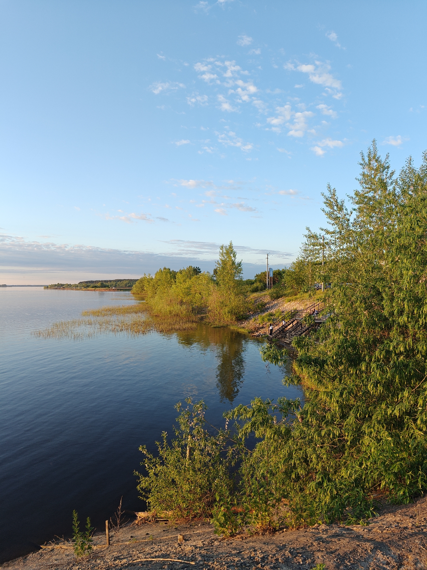 This image captures a wide shot of a tranquil waterside landscape in Nikolo-Beryozovka, Russia, under a clear, light blue sky with scattered white cumulus clouds, indicating late afternoon or early evening lighting conditions.
The foreground on the right side consists of an elevated bank of reddish-brown earth, covered by dense, green deciduous trees and bushes that are brightly illuminated by golden sunlight. A multi-tiered wooden staircase with dark handrails descends this bank towards the water. Three individuals are visible on or near these stairs: one person is descending the lower section, another is seated on an upper landing, and a third is partially obscured near the water at the base. Behind the upper section of the stairs, a utility pole is visible among the trees, and a paved or gravel road/path can be faintly discerned higher up the bank.
The left and central sections of the image are dominated by a large, calm body of water, likely a lake or wide river, displaying subtle ripples and reflecting the sky and the golden light on the distant shore. The water appears dark blue in the foreground, transitioning to lighter hues further out. Along the immediate shoreline, particularly in the mid-left, patches of reeds or tall grasses emerge from the water.
In the mid-distance on the left, the shoreline curves, receding into the background. This distant bank is heavily forested with green trees, and several small structures, possibly residential buildings, are discernible amidst the trees, suggesting a developed area along the water's edge. The overall scene conveys a serene natural environment with minimal human activity.