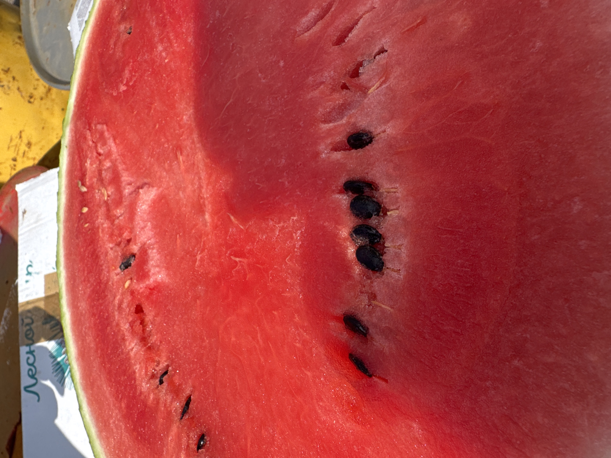 A close-up, high-angle shot captures the vibrant red flesh of a sliced watermelon. The watermelon is positioned on a surface that appears to be a market stall, indicated by a partially visible label with Cyrillic text that reads "Лесной". In the background, a yellow, circular object and a metallic rim of a container are visible, suggesting an outdoor market setting. The watermelon flesh displays its characteristic juicy texture and is studded with numerous dark seeds. Sunlight illuminates the scene, creating subtle shadows and highlighting the glistening surface of the fruit. The overall impression is one of freshness and abundance, typical of a summer fruit market. The location is a market in Chaikovsky, Russia.