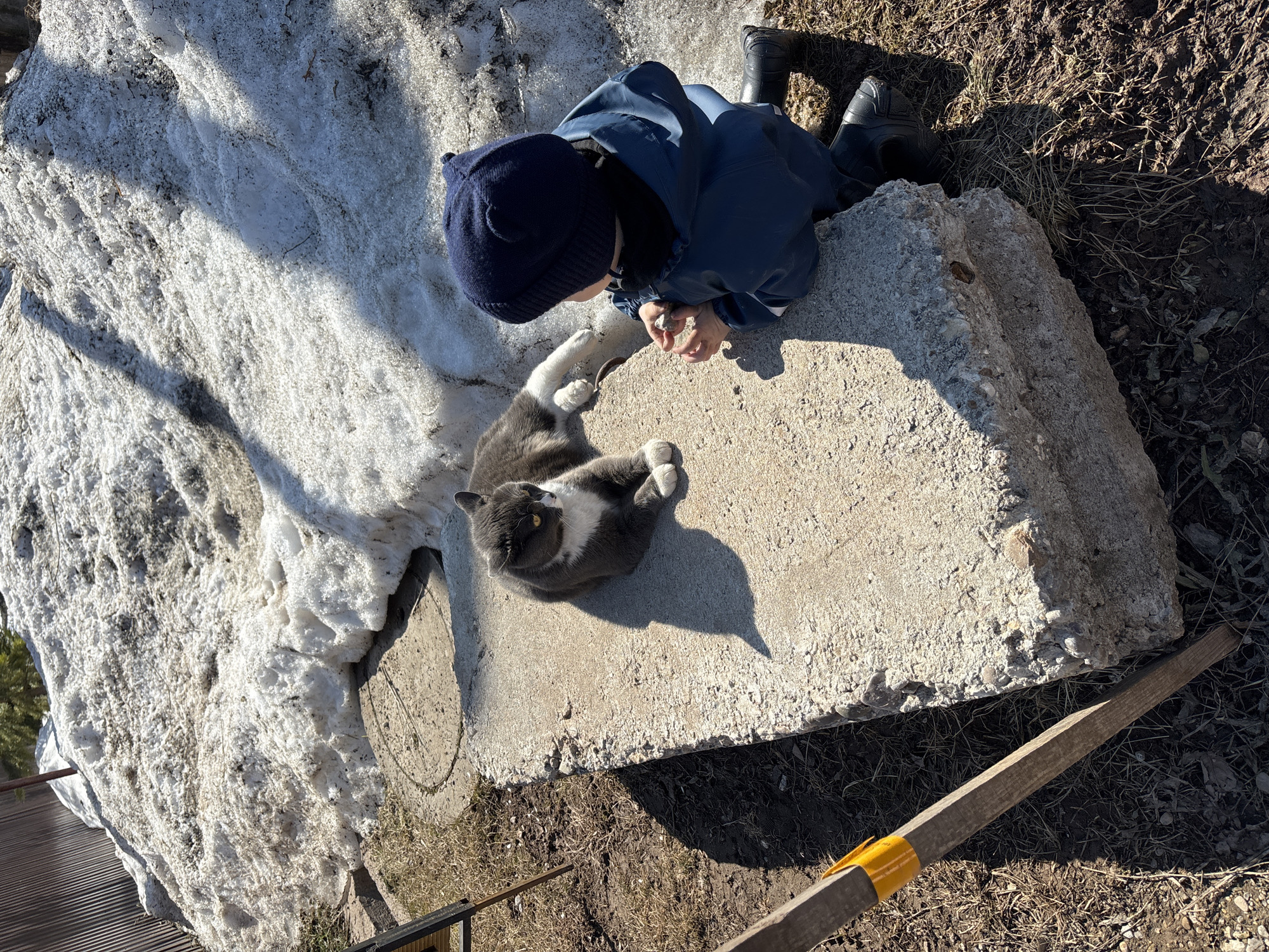 A child in a navy blue hat and coat lies prone on a concrete slab, facing a gray and white cat that is lying on its back. Next to the concrete slab is a patch of melting snow. The surrounding area contains dry grass and debris. A wooden stake lies on the ground near the concrete slab. The location is possibly in Ферма, Russia.