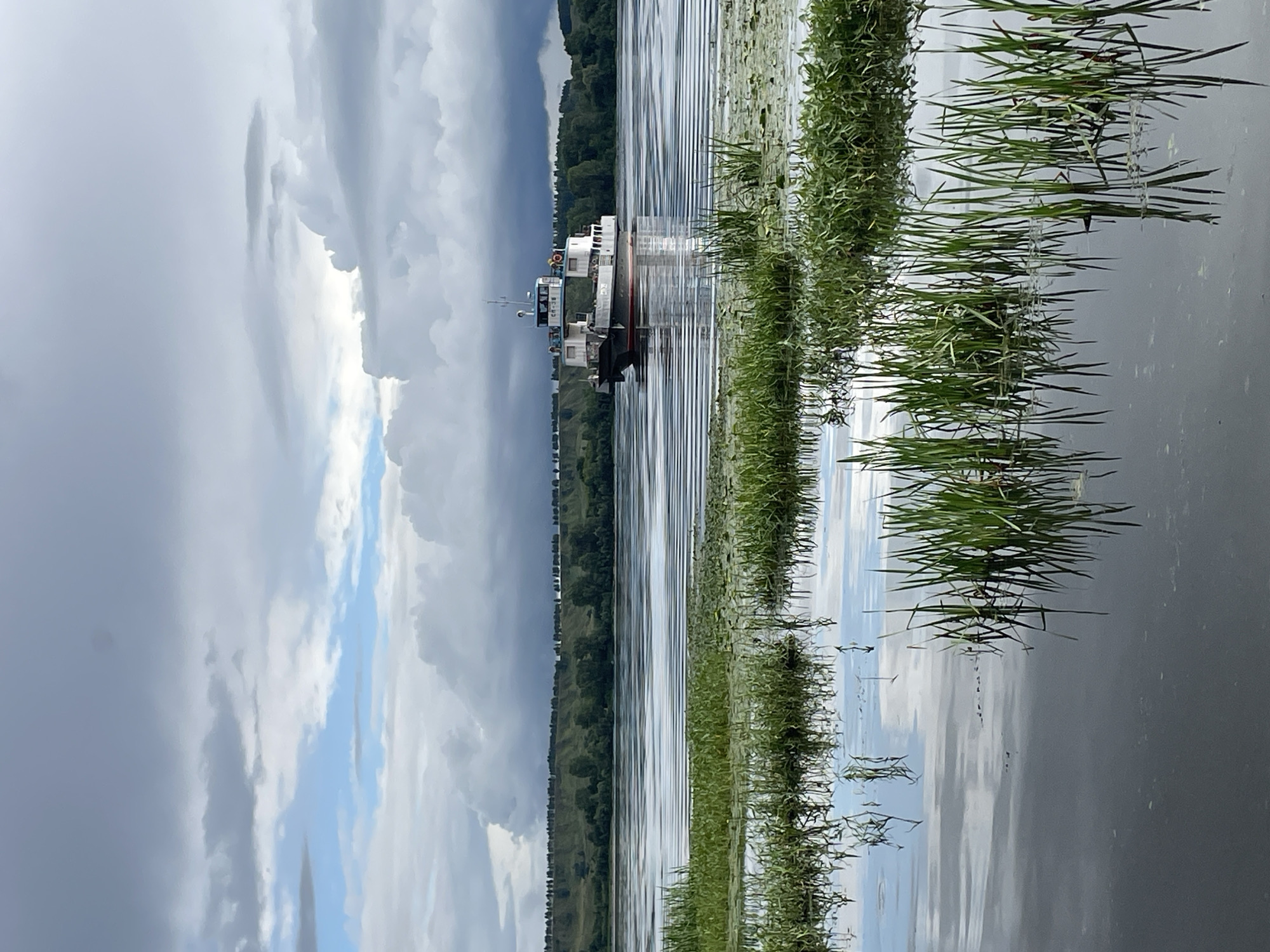 This image depicts a ferry boat on a wide river under a cloudy sky, with lush green reeds in the foreground. The ferry, white with red trim, has a multi-level structure and appears to be moving slowly. The river surface is rippled, reflecting the overcast sky and the distant, tree-covered hills that form the opposite bank. The foreground is dominated by dense clumps of green reeds and some water lilies, their reflections clearly visible in the calm water. The overall impression is one of a serene, natural landscape, possibly near Makar'evo, Russia, given the context of the provided information. There are no people clearly visible on the ferry or in the immediate vicinity.