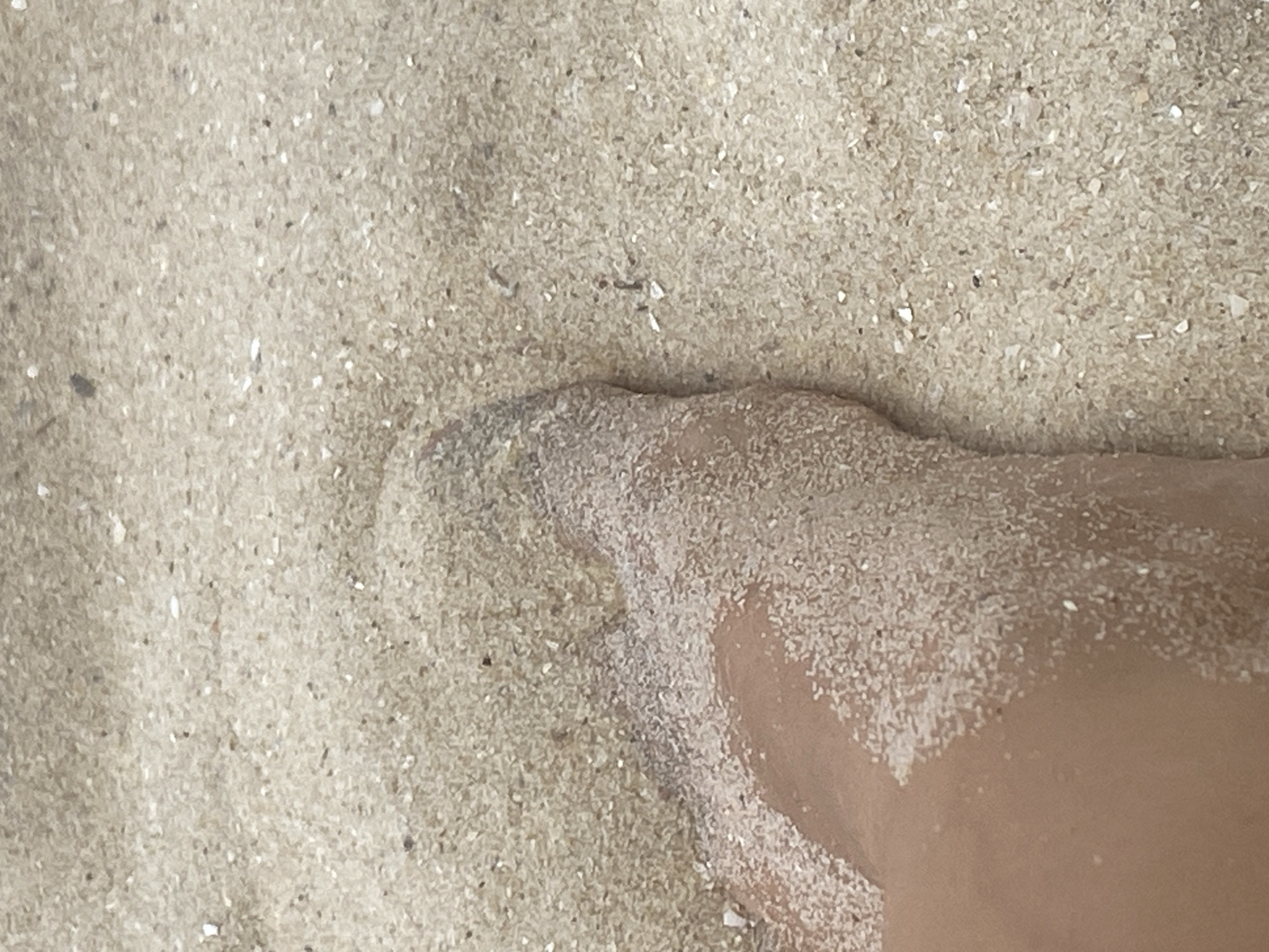 A close-up, eye-level shot shows a person's foot partially buried in light-colored sand. The sand is granular with small shell fragments mixed in. The skin of the foot is a light brown color and appears slightly damp. The image is taken in a bright, outdoor setting, characteristic of a beach. The location is Mũi Né, Vietnam.