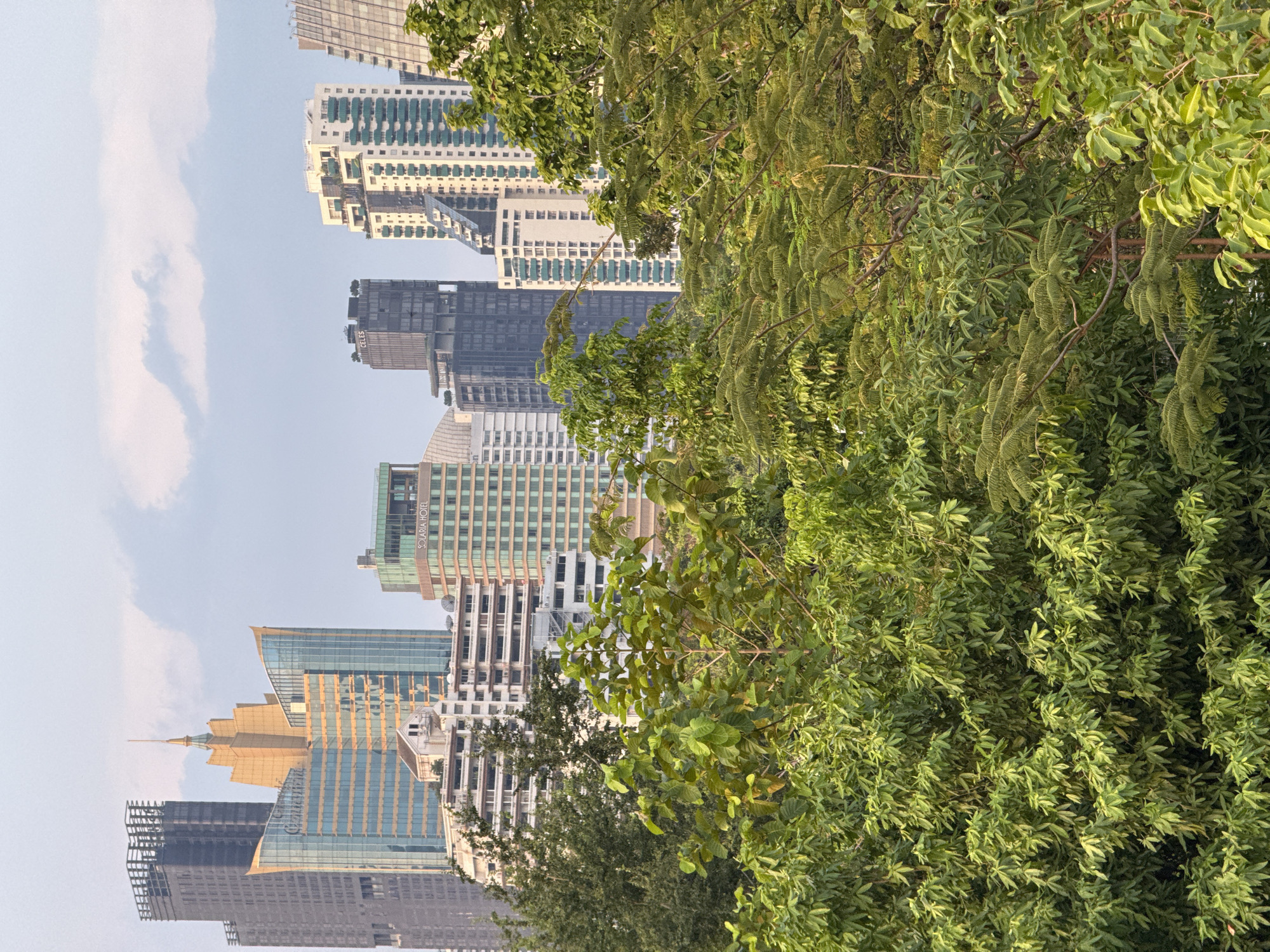 The image displays a vibrant city skyline, characteristic of a metropolitan area like Bangkok, Thailand, partially framed by dense green foliage. The scene is captured during the daytime, likely late afternoon, as suggested by the warm, directional light illuminating the buildings and trees against a bright, clear sky with some scattered clouds.
In the foreground and along the right side, a significant amount of lush green vegetation, including large trees and bushes, creates a natural screen. The trees exhibit varied leaf types, some with delicate, feathery foliage and others with broader leaves, all appearing healthy and verdant.
Beyond the trees, numerous tall buildings and skyscrapers define the urban landscape. These structures showcase diverse architectural styles, ranging from modern glass-fronted towers that reflect the sky to buildings with more textured, multi-windowed facades. Visible text on some of the buildings provides specific details: one dark high-rise features the name "CELES," while another prominent structure is identified as "SOLARIA HOTEL." A distinctive golden-colored building with a spire-like top stands out among the others, with partially visible text that appears to include "GRAND." No specific human activity is discernible, presenting a serene view of a bustling city integrated with pockets of nature.
