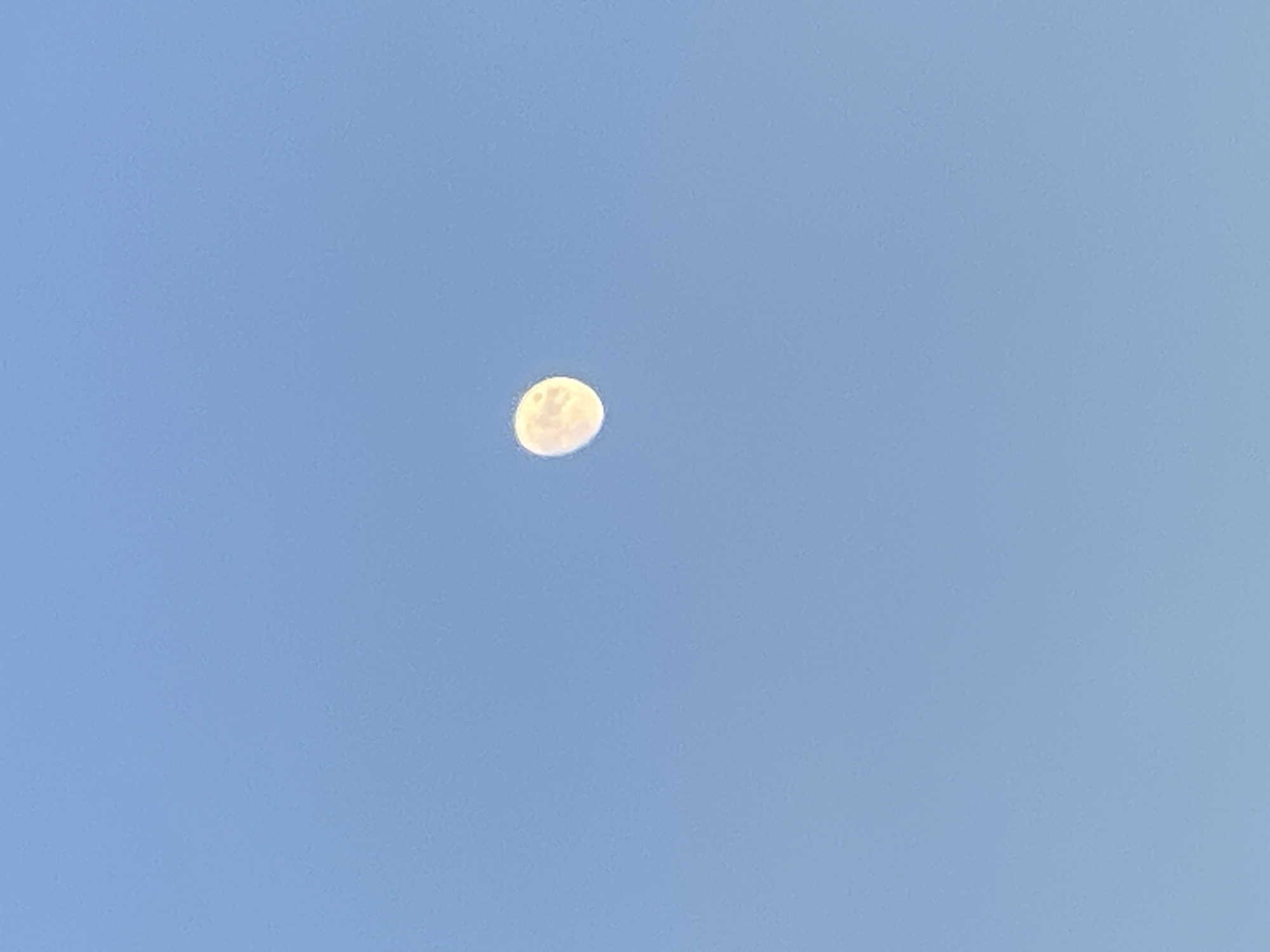 The image shows a daytime sky, a pale blue in color. In the center of the frame, there is a moon visible. The moon is a creamy-yellow color, appears almost full, and shows surface details. There are no other objects or people in the image. The location is not identifiable as Novokuznetsk, Russia, from the information provided.
