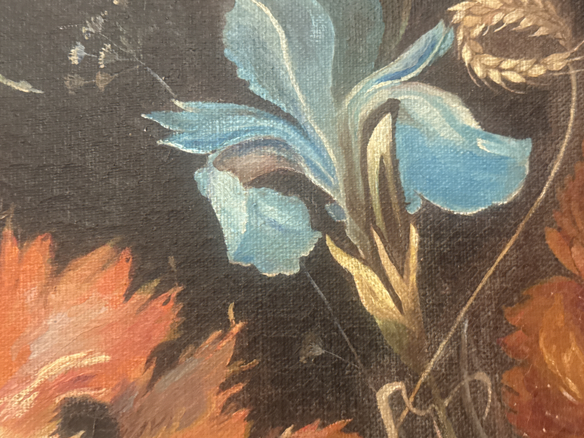 This is a close-up of a dark, possibly antique, floral oil painting. Predominantly featuring orange and blue hues, the composition includes a large, prominent blue flower, likely an iris, positioned centrally. To the left are orange flowers with pointed petals. A spray of golden wheat or similar grain is situated to the right of the blue flower. The background is a muted, dark color, possibly black or very dark brown. The canvas texture is visible. Without additional context, it's impossible to determine the specific location in Puebla, Mexico, or any association with the city. There is no other information provided about any people or interactions.