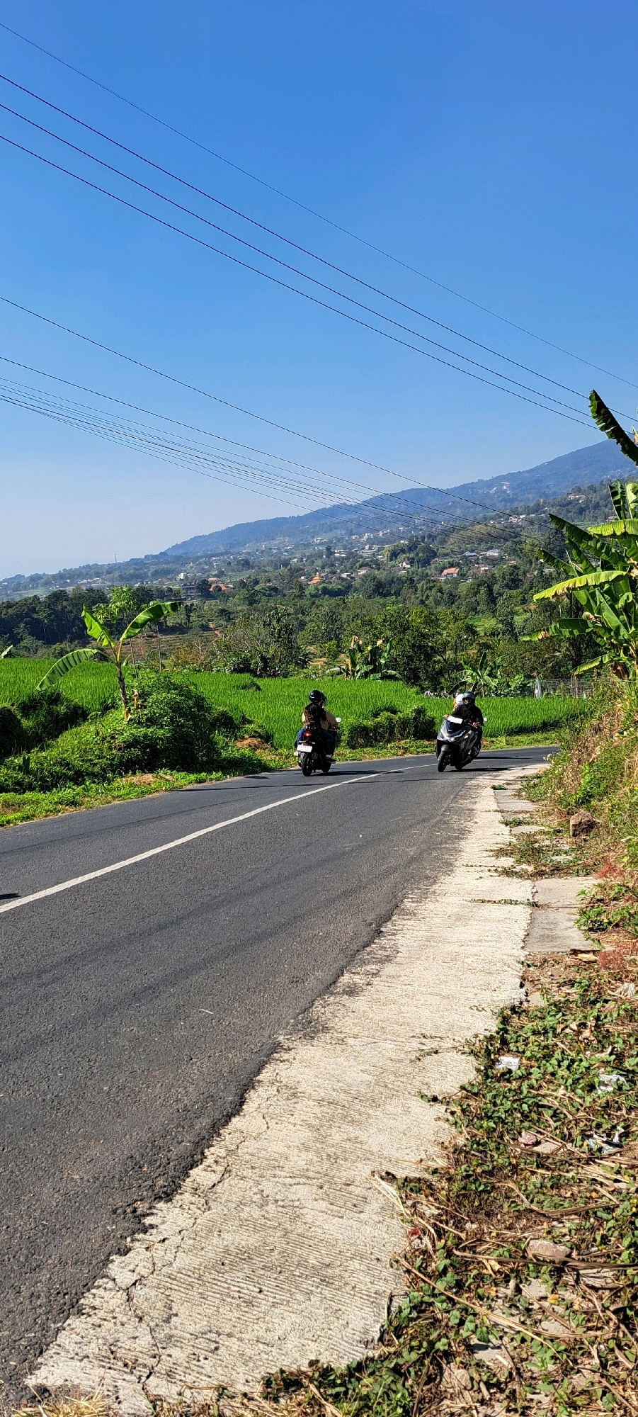 In Sukoreno, Indonesia, a paved road curves through a lush landscape under a clear blue sky dotted with power lines. Two individuals on scooters travel along the asphalt, one following the other. The road is bordered by a concrete curb on the right, which transitions into a grassy embankment overgrown with vegetation. To the left of the road, vibrant green rice paddies stretch out, their uniform rows suggesting a cultivated field. Beyond the paddies, a verdant hillside rises, covered with trees and dotted with scattered buildings, forming a picturesque backdrop. The overall scene depicts a rural or semi-rural setting in Indonesia, characterized by agriculture, a basic roadway, and a mountainous terrain in the distance.