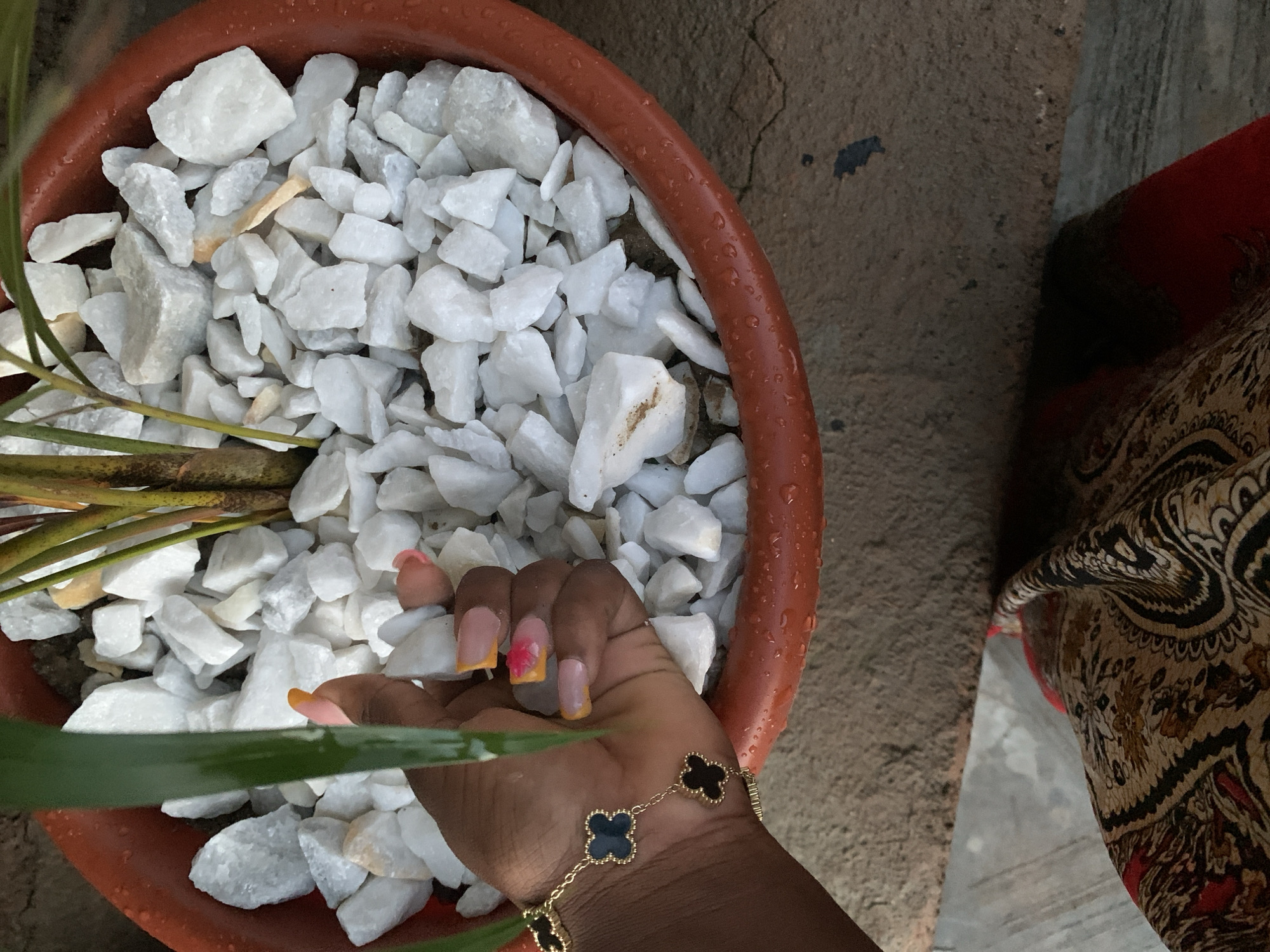 In a close-up, high-angle shot, a person's left hand is placed inside a terracotta planter filled with white rocks. The hand has manicured fingernails with a pink and yellow gradient design. A gold bracelet with four black clover-shaped charms is worn on the wrist. A large green leaf extends from the top left of the frame, obscuring part of the hand. The planter contains a plant with red and green stalks. The planter is wet, with water droplets visible on its surface and rim. The planter rests on a textured surface, possibly concrete, with a patterned fabric visible in the bottom right of the frame.