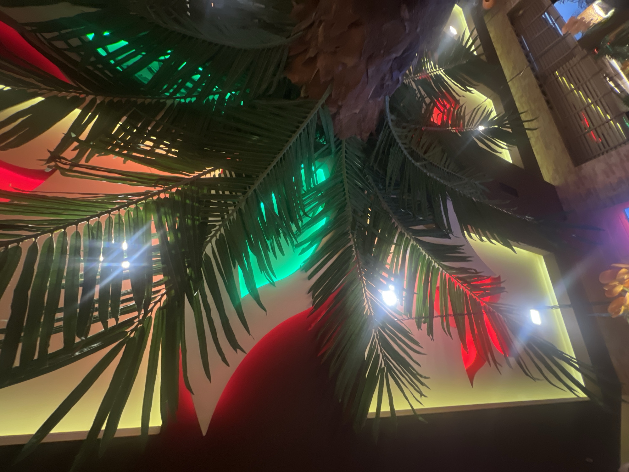 This image, taken from a low-angle perspective looking upwards, captures the vibrant interior of what appears to be a themed establishment, possibly a restaurant or bar, in Sofia, Bulgaria. The primary subjects are numerous dark green palm fronds, likely artificial, which create a dense, overhead canopy across the frame.
Through and behind the palm leaves, various light sources illuminate the scene. Several bright white lights are visible, producing noticeable lens flares. The background features sections of walls or a ceiling brightly lit in distinct colors: vivid green, deep red, and a soft yellow. These colored lights contribute to a festive or tropical ambiance. A textured, brownish object, possibly part of a palm tree trunk or another decorative element, is partially visible at the top center of the main image. On the right side, a tall, brown structural element with horizontal segments, resembling bamboo or wood paneling, further enhances the themed decor.
No people or specific activities are depicted, as the focus is entirely on the decorative elements and lighting. The pervasive artificial illumination, particularly the colored lights, strongly indicates that the photo was taken during the evening or night. The overall impression is one of a lively, decorated space, likely designed to evoke a tropical or exotic atmosphere. There is no visible text within the image.