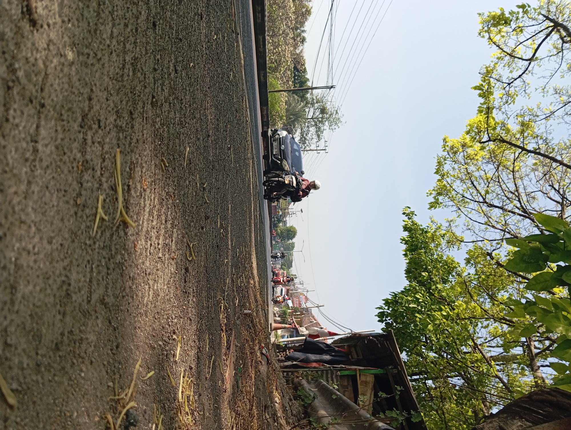 The image depicts a street scene in Kepulungan, Indonesia, on a clear day. The foreground is dominated by a coarse asphalt surface, scattered with dry leaves and twigs. A low angle shot emphasizes the texture of the road. In the middle ground, a black car is driving on the left side of the road, followed closely by a person on a motorcycle wearing a white helmet and a dark jacket. The motorcycle rider is looking forward. Further down the road, several other motorcycles and a few vehicles are visible, some with passengers. Power lines stretch across the sky, supported by poles on the side of the road. To the right, a makeshift shelter constructed from corrugated metal and wood leans against a concrete barrier, with various items, including fabric, hanging from it. Lush green trees with visible branches and leaves overhang the scene from the top left, casting dappled shadows on the road. The background shows more trees and buildings, suggesting a semi-urban or rural environment. The overall impression is one of a typical day in a bustling Indonesian town.