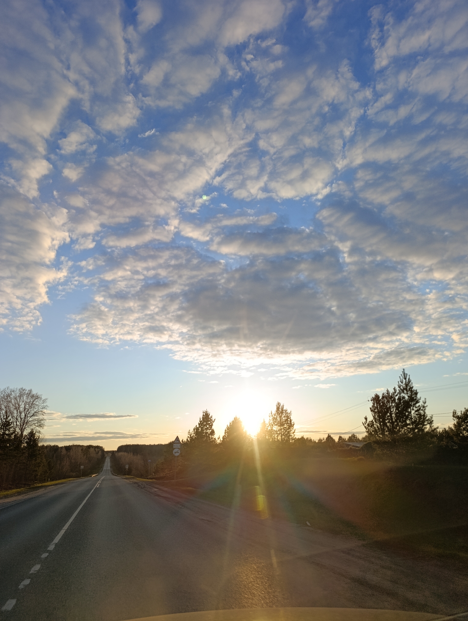 The image shows a straight, paved road stretching into the distance with trees lining both sides. The sun is setting, visible through the trees in the middle distance, casting long rays across the road. The sky is blue with numerous scattered, white clouds. A road sign is visible on the right side of the road. The location appears to be in a rural or semi-rural area near Chaikovsky, Russia, based on the landscape and road markings.