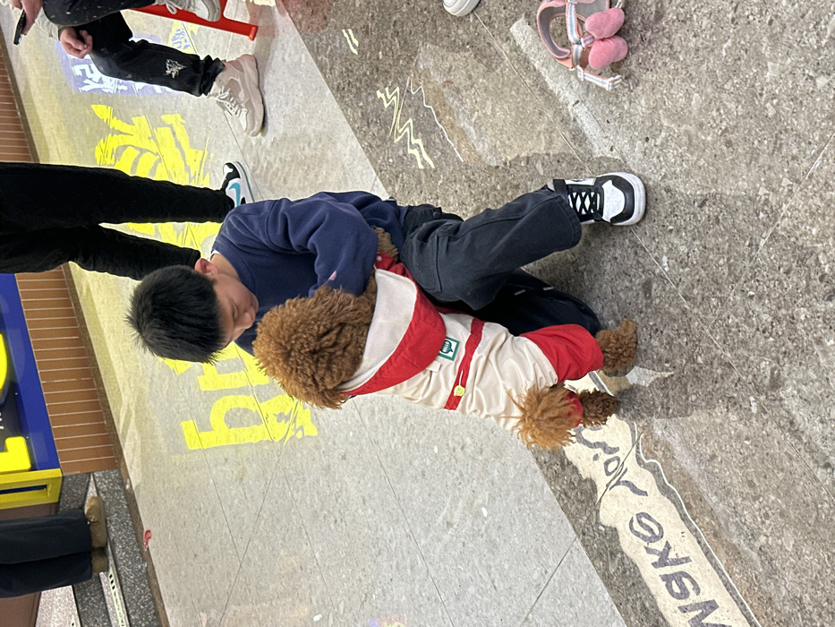 An indoor scene in Jiangjin, China, shows a young East Asian male, approximately 8-12 years old, kneeling on a light grey speckled tile floor. He wears a dark blue long-sleeved shirt and dark pants, with black and white athletic shoes. The boy is actively engaged with a small, reddish-brown, curly-haired poodle-type dog directly in front of him. The dog is outfitted in a two-piece ensemble consisting of a red lower garment and a cream-colored hooded upper garment with red trim and a small green "HELLO" tag. The dog is positioned upright, supported by the boy, appearing to stand on its hind legs.
In the background, other individuals are partially visible: to the immediate left, a person's lower legs and feet with light brown shoes stand on a raised platform. Further back, another person's lower legs in black pants and black sneakers with a light blue swoosh are visible. To the right, an individual's legs in distressed blue jeans and chunky light-colored sneakers are seen, seated on a red stool.
The floor features yellow graphic markings, resembling Chinese characters, behind the boy. Above these markings, a blue and yellow structure, consistent with commercial signage, is present. A decorative inlay of wavy, dark lettering, possibly reading "WANG JIN," is embedded in the floor in the lower left quadrant of the image. A pink pet accessory, possibly a harness or small bag with a fuzzy component, lies on the floor to the right.