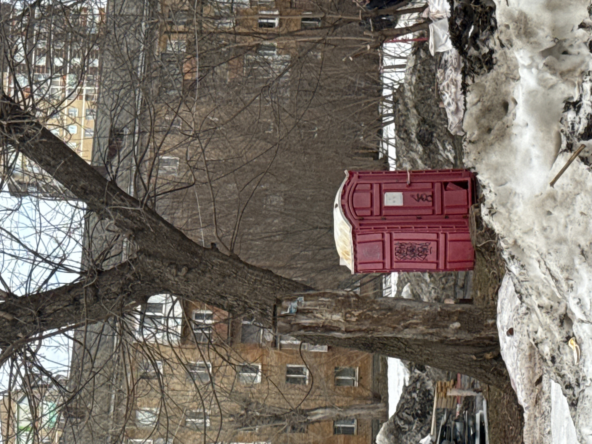 The image depicts a red portable toilet positioned near a large tree and a snow pile in Perm, Russia. The tree's branches are bare, suggesting a winter or early spring setting. Buildings are visible in the background, giving context to an urban location. There are no people visible in the frame.