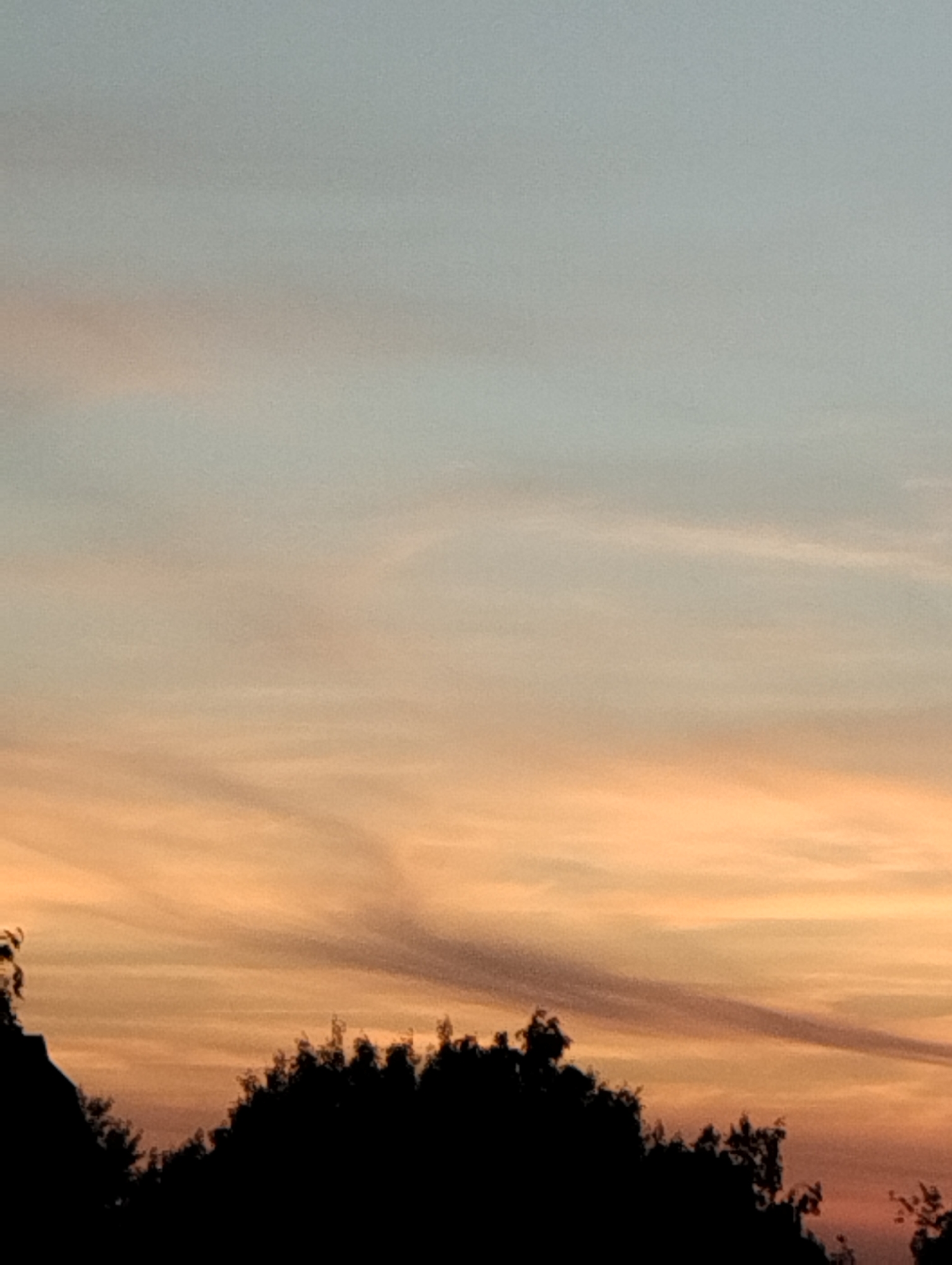 This is a low-angle photograph of a sky at dusk, featuring a gradient of colors from pale blue at the top to warm orange and pink hues closer to the horizon. Wispy clouds are scattered across the sky, some appearing elongated and streaky. The silhouette of a dense line of trees runs across the bottom of the frame, creating a dark, undulating border against the colorful sky. The lighting suggests a natural, outdoor environment, likely at sunset or sunrise. The location is identified as Minsk, Belarus. There are no people, specific landmarks, or actions depicted in the image.