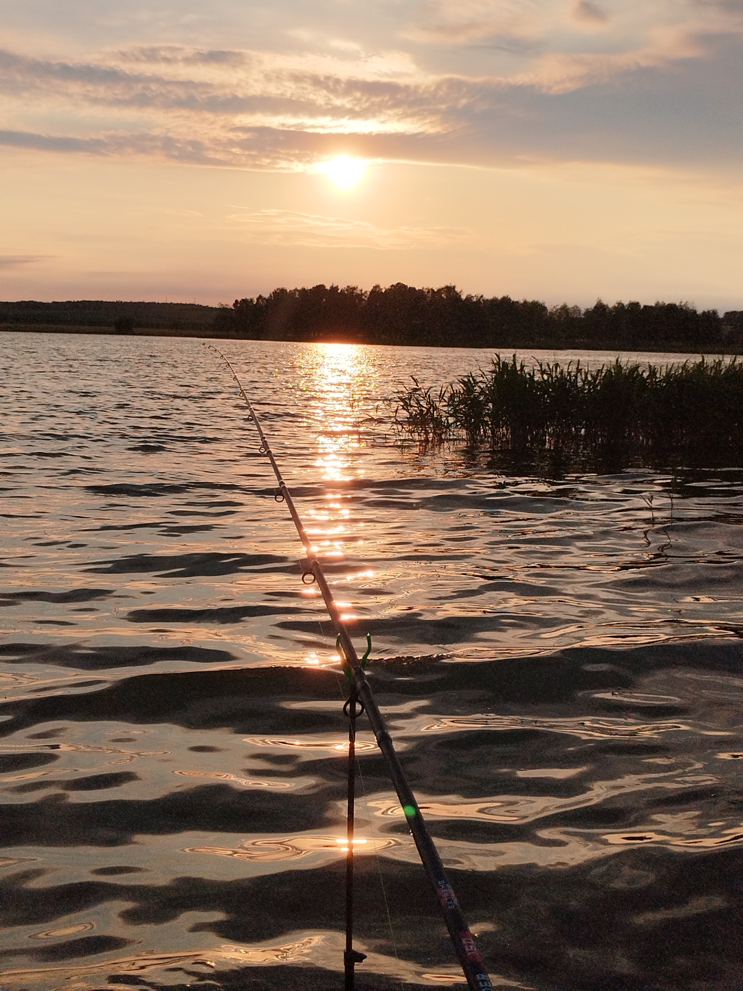 The image depicts a serene waterscape at sunset, likely a lake or calm river. A fishing rod is positioned in the foreground, angled towards the right side of the frame, with its tip extending upwards and slightly out of view. The rod is resting on a dark surface, possibly a boat or the shore. The water's surface is rippled, reflecting the warm, golden light of the setting sun, which is visible in the upper right quadrant of the image. The sky above is a soft gradient of orange and pink hues, with scattered clouds. In the middle ground, a treeline forms a dark silhouette against the horizon. The overall atmosphere is peaceful and tranquil, suggestive of an outdoor activity enjoyed during twilight.