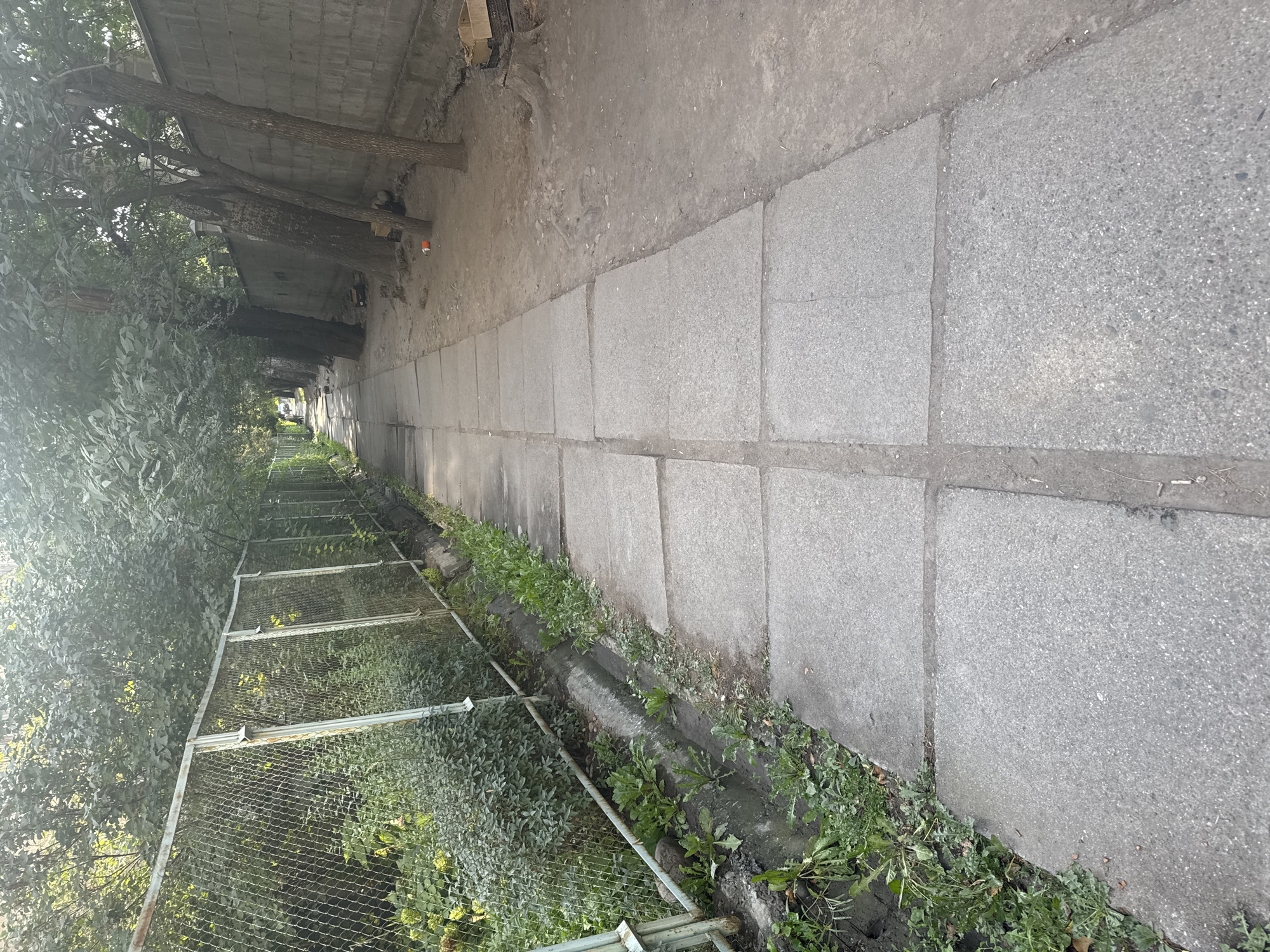 The image depicts a paved pathway running alongside a chain-link fence on the left and a concrete wall on the right. Lush green foliage grows behind the fence, obscuring much of what lies beyond. A small, shallow ditch runs parallel to the fence, lined with weeds and grasses. The pathway itself is constructed of large, square concrete slabs, showing signs of wear and tear, with visible grout lines between them.
To the right of the pathway, the ground is unpaved and consists of dirt and gravel. Several trees with rough bark are planted along the wall, casting shadows on the ground. A few discarded items, including cardboard boxes and an orange plastic container, are visible on the dirt area. In the distance, the pathway continues, flanked by more trees and disappearing around a bend. The overall environment suggests a somewhat neglected urban fringe or a less-trafficked area within the city.
This scene is consistent with the appearance of public pathways and unkempt verges often found in residential or peripheral areas of Bishkek, Kyrgyzstan. The combination of chain-link fencing, concrete block walls, mature trees, and simple paved walkways is characteristic of many such locations within the city.
