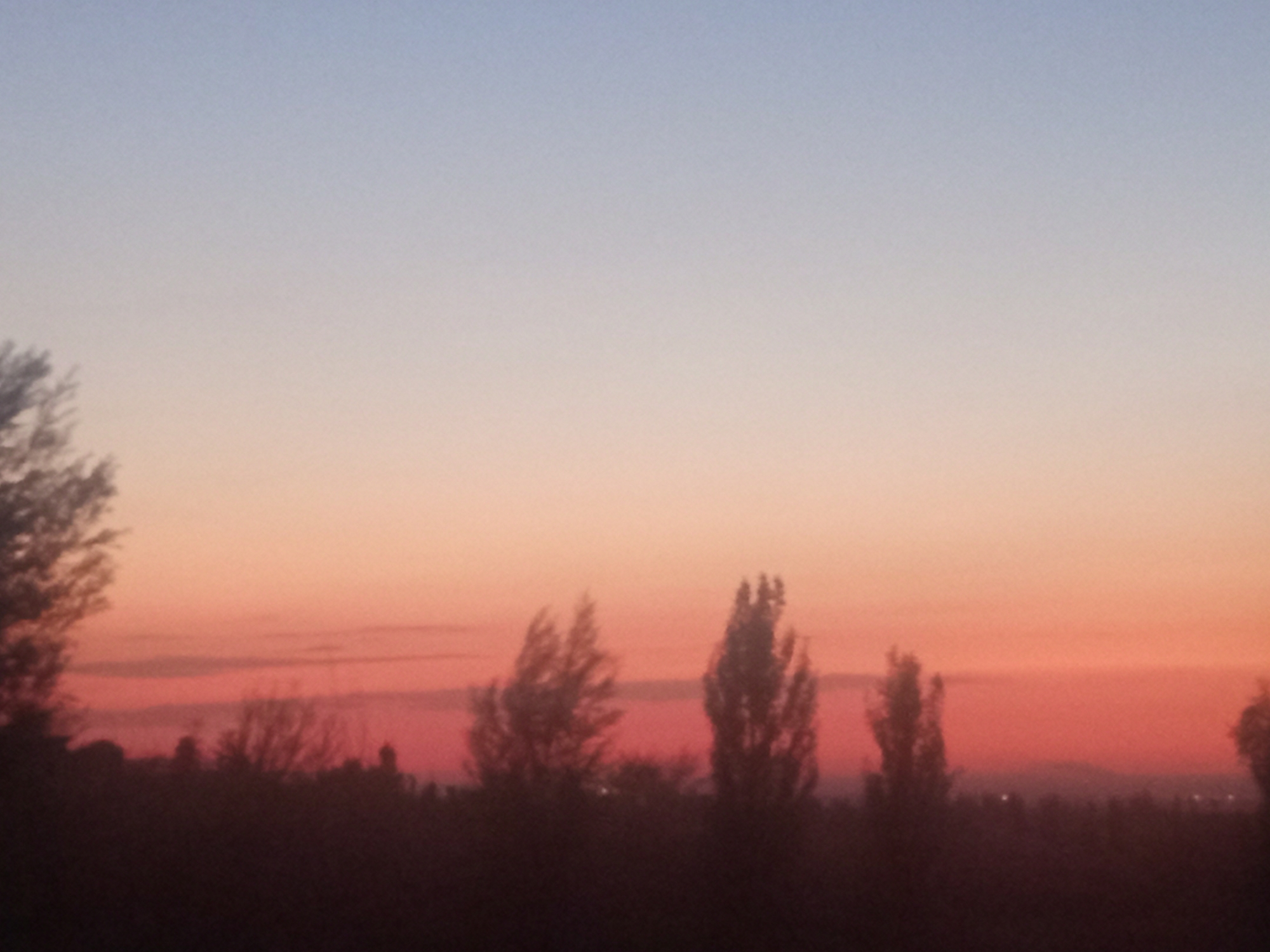 The image depicts a sunset over a landscape that appears to be the city of Jardy-Su, Kyrgyzstan. The sky transitions from a pale blue at the top to shades of pink and orange closer to the horizon, indicating the time of day is dusk. Silhouetted against the colorful sky are several trees, their branches bare and spindly. In the foreground, the landscape is dark and indistinct, suggesting it is heavily shaded or a darker color palette. A faint outline of buildings or structures can be seen in the far distance, possibly within Jardy-Su. The overall impression is one of a tranquil evening scene in a rural or semi-rural setting.