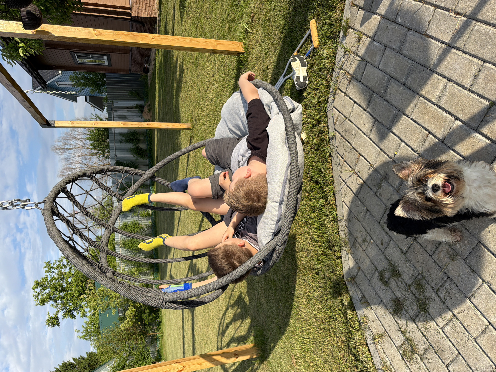 Two young boys are relaxing in a hanging chair swing outdoors. One boy is lying on his back with his legs extended upwards, wearing yellow socks and dark shorts. The other boy is lying on his side, facing away from the camera, wearing a dark t-shirt and gray shorts. The swing is made of dark woven material and is suspended from a wooden A-frame. In the foreground, a small, long-haired dog with black, white, and brown fur is looking directly at the camera with its mouth open. The scene is set in a grassy backyard with a paved patio area. A pair of crutches lies on the grass near the swing. The background shows houses and a fence.