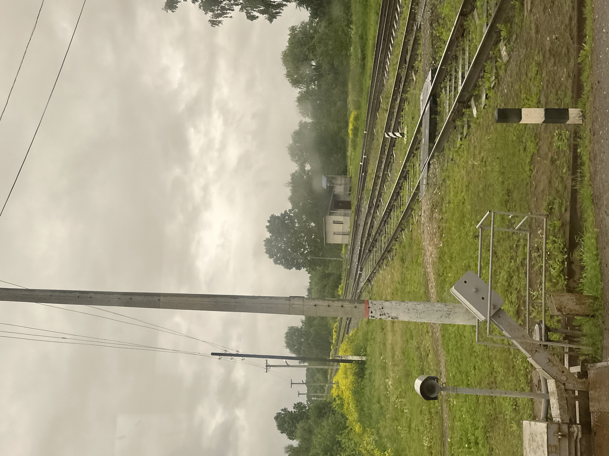 The image depicts an overcast railway scene in the city of Кварса, Russia. The sky is uniformly covered with light grey, textured clouds, suggesting a dull or recently rainy day.
In the immediate foreground, to the right, a black and white striped wooden marker post is embedded in damp, muddy ground with sparse green grass. To its left, a multi-part grey metal mechanism is visible, comprising a horizontal section, an angled lever-like component with two bolt holes, and a protective railing. Adjacent to this, a dark, bell-shaped object is mounted atop a thin grey pole, partially obscured by the foreground structure.
The midground is dominated by multiple parallel railway tracks, at least five visible, extending diagonally from the lower right towards the upper left, curving gently into the distance. The tracks appear wet. Abundant green grass and patches of yellow flowering plants grow between and alongside the tracks. A prominent, tall, light-grey concrete utility pole with a red and white band near its base stands centrally, supporting multiple thin overhead wires that stretch across the upper left sky. Further along the tracks on the left, several darker wooden utility poles with crossarms and wires are visible. Another black and white striped marker post is situated between two sets of tracks in the mid-distance. To the right of the tracks, a small, light-colored single-story building with a dark sloped roof and a small blue-roofed extension or canopy stands amidst green vegetation.
The background consists of a dense line of various green trees, some appearing partially veiled by mist or atmospheric moisture. The cloudy sky extends to the horizon.
