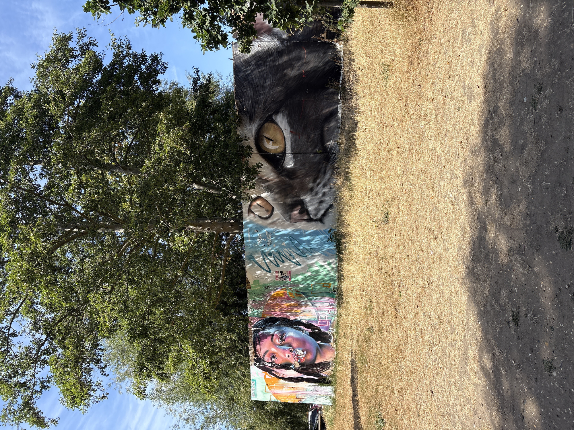 A long, horizontal mural on a concrete wall depicts a stylized portrait of a young woman with braided hair and vibrant colors on her face, contrasted with a large, detailed depiction of a cat's eye and part of its face on the right. The mural is set against a backdrop of a large green tree with a bright blue sky and scattered clouds. In the foreground, dry, yellow grass covers the ground, with a shadowed area in the lower portion of the image suggesting the presence of overhead foliage or structures. The mural is located at the former site of the Civic Centre in Chelmsford, United Kingdom.