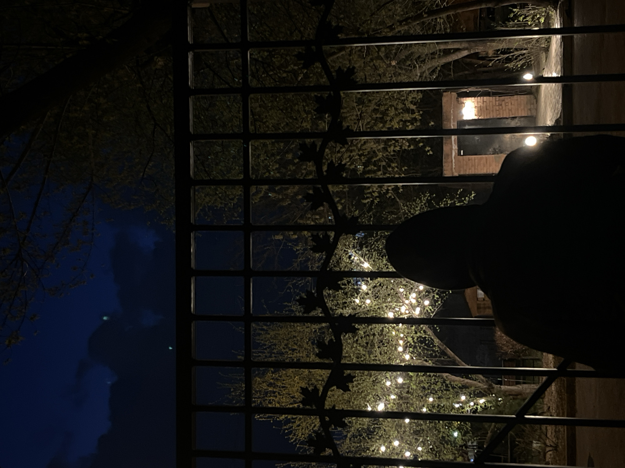 The image shows a view through a wrought iron fence at night. Beyond the fence, trees are decorated with strings of lights, creating a festive atmosphere. Further back, there's a structure that appears to be brick, possibly a building or part of one, lit by exterior lights. To the left of the fence, a dark sky is visible, partly obscured by tree branches. A silhouetted figure is present in the foreground, obscuring the view slightly. The location in Krasnoyarsk, Russia cannot be confirmed from this image.