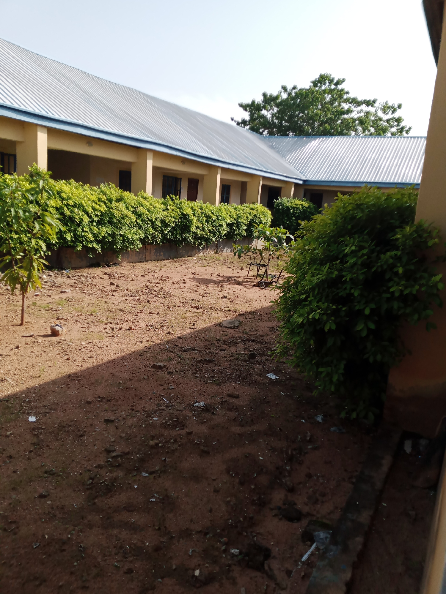 The image captures an outdoor courtyard area adjacent to a building with a corrugated metal roof, typical of structures found in Jalingo, Nigeria. The building features a light yellow exterior with a light blue trim along the roofline, and multiple windows and doors are visible. A dense green hedge runs along the building's facade. The ground is composed of reddish-brown soil with scattered rocks and debris, including some white and clear plastic fragments. To the left, a small, thin tree stands on the ground. In the mid-ground, a metal chair with a curved design is partially visible behind a leafy green shrub. The lighting suggests it is daytime, with shadows cast across the ground, indicating the sun's position.