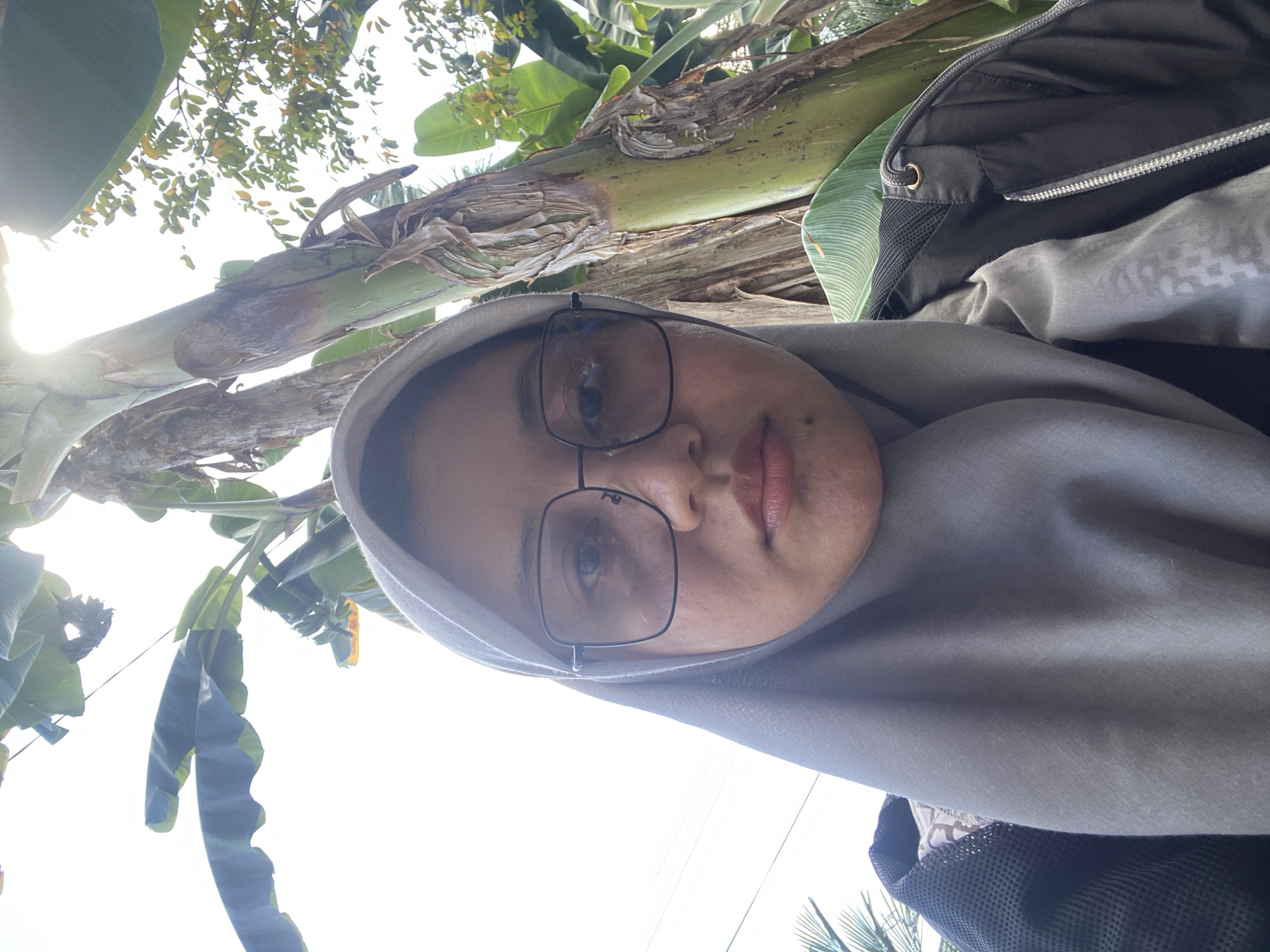 A young woman wearing a gray hijab and glasses is taking a selfie outdoors. She is standing in front of large banana trees, with some of their leaves visible in the background. The lighting suggests it is daytime, and the sun is shining from behind the trees. She is wearing a black jacket over a gray garment. The scene appears to be in a tropical or subtropical outdoor environment, possibly in Banjarbaru, Indonesia, given the vegetation.