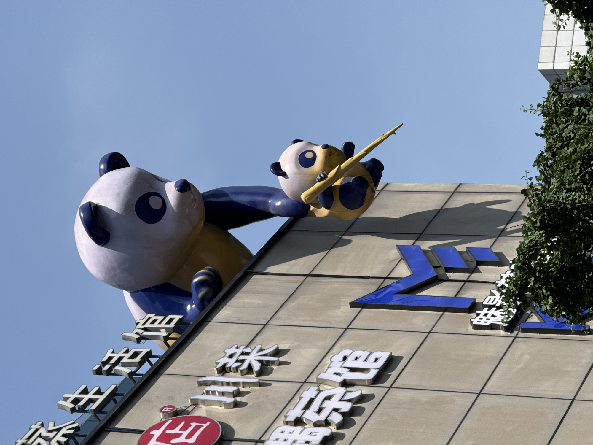 A low-angle shot shows a large cartoon panda sculpture lying on its stomach on the corner of a building in the Jinjiang District of China. The panda is primarily white and blue, with yellow accents on its face, arms, and the branch it holds in its paws. The branch extends diagonally upward towards the clear blue sky. The building's facade is gray, with dark gray grid lines forming square patterns. The facade features Chinese characters in white and red and blue, with a dark shadow cast by the panda. To the right of the panda and the characters, a leafy green tree partially obscures the building's corner. A portion of the building above is white and made of stacked cubes.