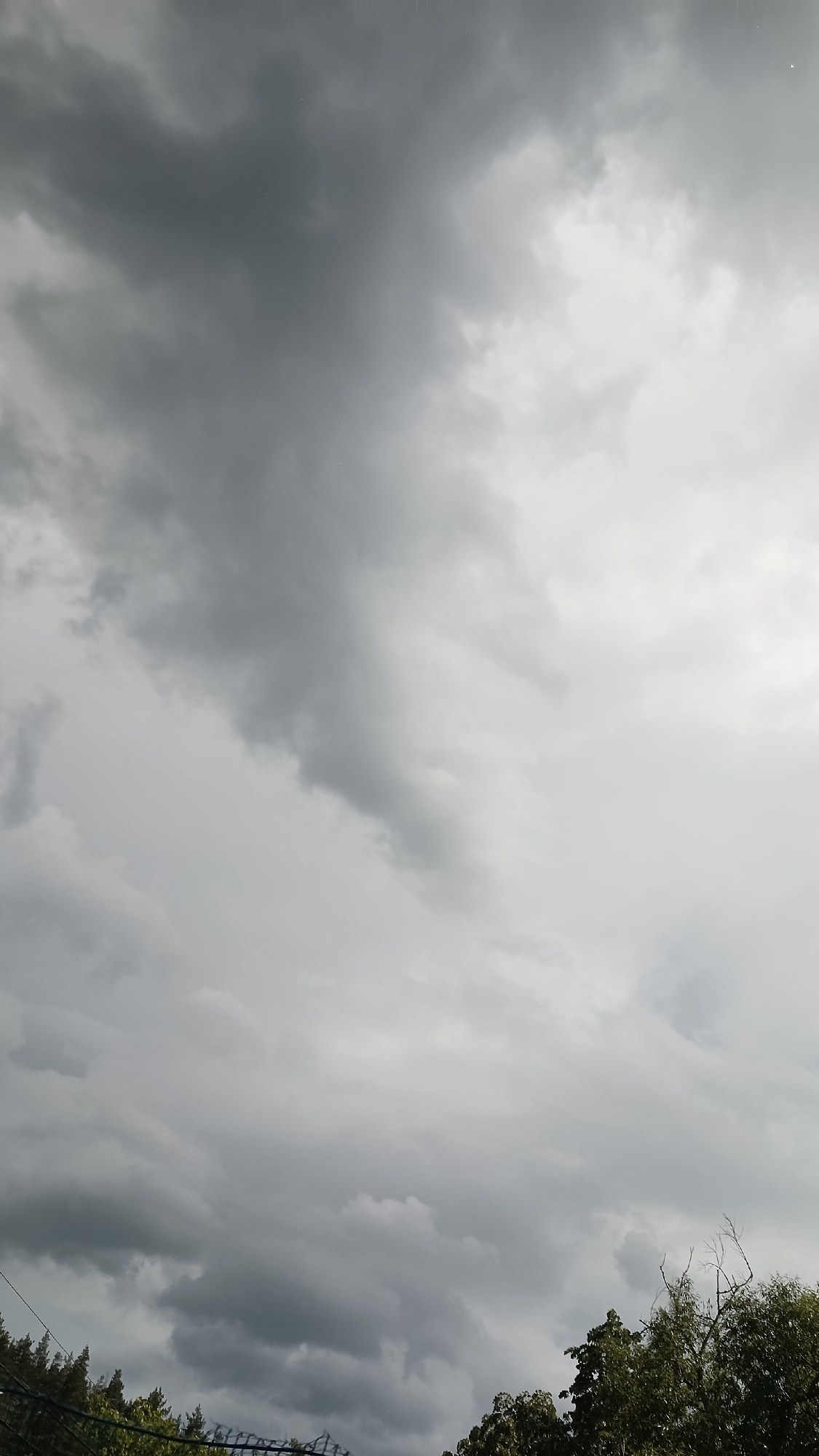 The image presents a cloudy sky above Muzga, Bulgaria. The sky is dominated by gray clouds, with varying shades suggesting different densities and textures. At the bottom of the image, there is a partial view of trees with green foliage, indicating the presence of vegetation. A possible fence is partially visible. The lighting suggests an overcast day. The location is Muzga, Bulgaria. No people are visible.