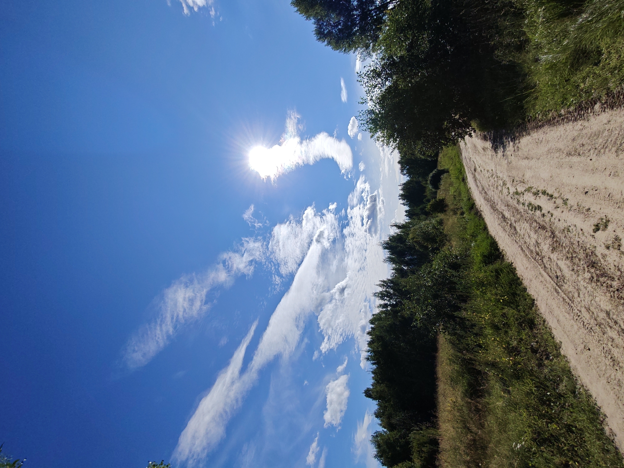 The image depicts a dirt road winding through a landscape of tall green grass and dense trees under a bright blue sky with scattered white clouds. The sun is prominently visible, shining intensely and casting a bright glare. The road appears to be a rural path, possibly in an undeveloped area. The scene suggests an outdoor environment, likely in a natural or semi-natural setting, with the overall impression being one of a sunny day in the countryside.