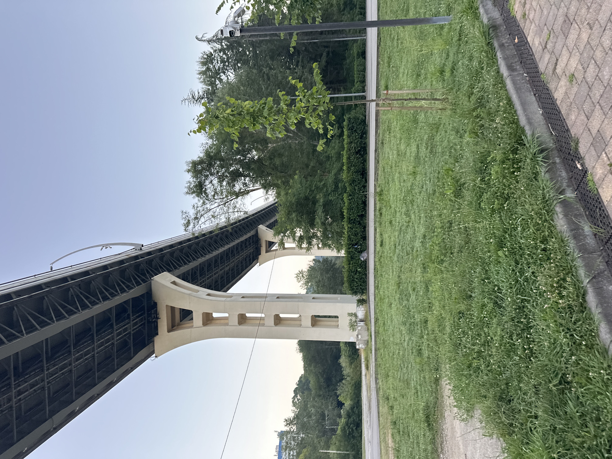 An overpass bridge, constructed with concrete pillars and a metal superstructure, dominates the upper portion of the image. The bridge is supported by large, cream-colored concrete pillars with rectangular cutouts. Below the bridge, a dense line of green trees forms a natural barrier. In the foreground, a grassy area with patches of clover and small white flowers is visible, bordered by a sidewalk made of brick pavers. A young tree, supported by wooden stakes, stands in the grass. A grey utility pole with a camera mounted on top is positioned to the right of the young tree. The sky is a clear, pale blue. The scene appears to be set in a park or urban green space, with a road and a building visible in the background. The location is identified as Sochi, Russia.