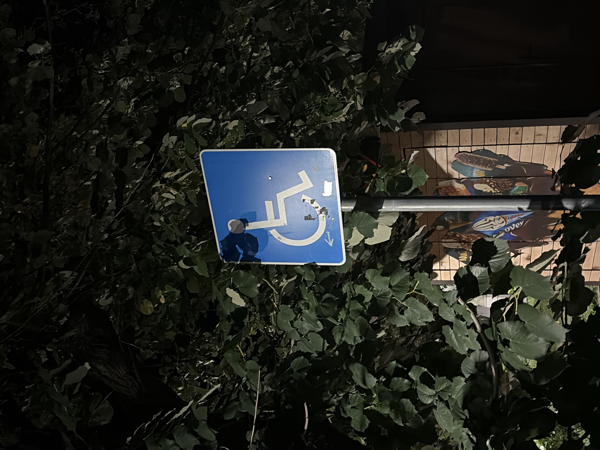A blue sign with a white wheelchair symbol and an arrow pointing left is mounted on a metal pole. The sign is slightly damaged, with some white scuffs and a hole. The pole is positioned in front of a wooden wall adorned with colorful images of ice cream and other items. Lush green foliage surrounds the sign and the wall, with branches and leaves extending into the frame, creating a somewhat dark and shaded environment, likely outdoors at night. The scene is situated in Vratsa, Bulgaria.
