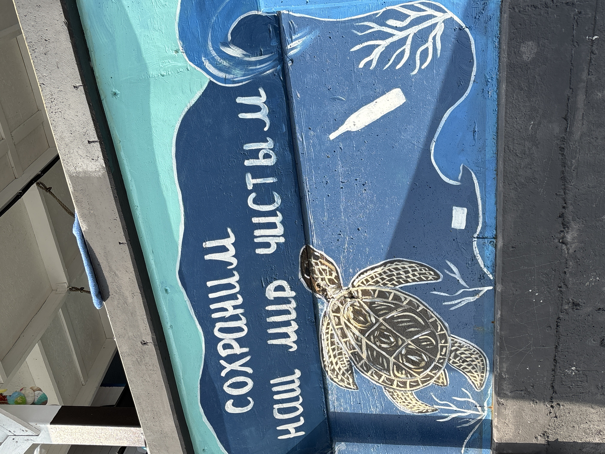 The image shows a mural painted on a blue wall. The mural depicts a sea turtle swimming in the ocean, with waves and seaweed. There is also a white bottle painted on the wall, suggesting a message about pollution. The text on the wall, written in white Cyrillic letters, reads "СОХРАНИМ НАШ МИР ЧИСТЫМ," which translates to "Let's keep our world clean." This mural is located in Sochi, Russia, likely as a public art piece to raise awareness about environmental protection. The wall itself appears to be part of an outdoor structure, possibly a barrier or fence, with a darker concrete base. The background shows sunlight filtering through what appears to be the underside of a building or overhang, with some structural elements visible.