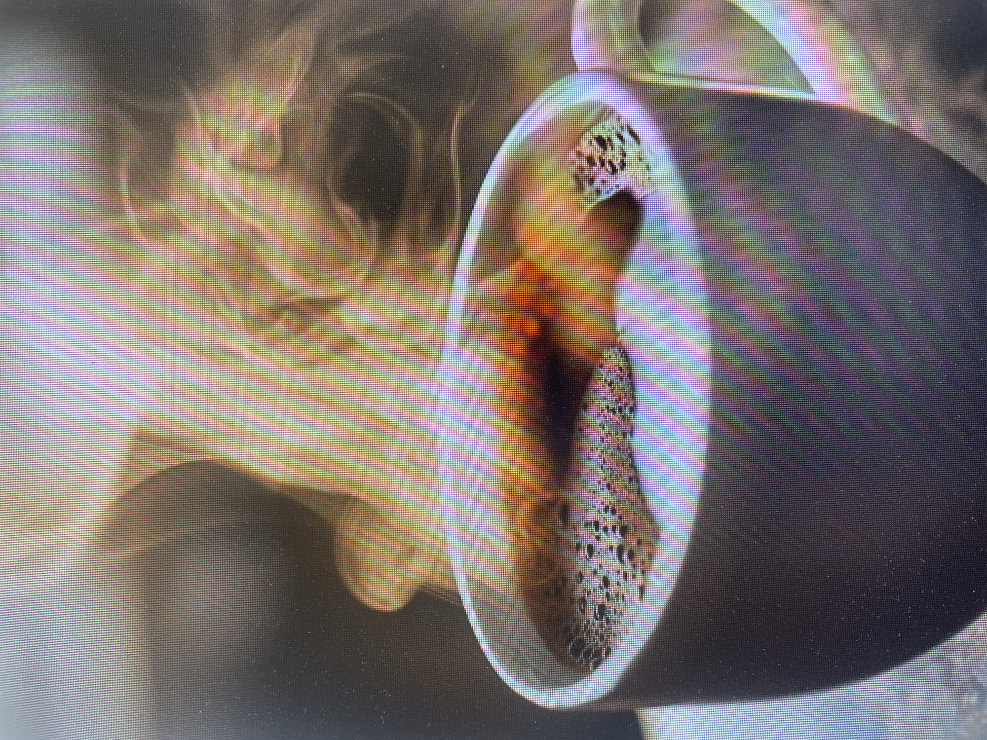This media file captures a close-up, slightly tilted photograph of a dark-colored cup filled with hot coffee, from which prominent steam is rising. The cup, possibly made of ceramic or stoneware, is presented horizontally within the frame, showcasing its dark exterior and a lighter inner rim. The coffee inside is a rich, dark brown liquid, topped with a thick, bubbly layer of light brown crema or foam.
Wispy, light-colored steam emanates from the hot beverage, swirling upwards and to the left, creating a soft, diffused effect against the blurred background. The background is indistinct, composed of dark brown and black tones, providing a subdued contrast to the brightly lit steam and coffee.
A notable technical detail visible across the entire image, particularly highlighted in the provided crops, is a distinct, uniform grid pattern of pixels. This indicates that the photograph itself was taken of a digital screen (such as a monitor or TV) displaying the coffee image, rather than being a direct photograph of the physical cup.
There are no people, visible text, or specific weather conditions depicted. The scene suggests an indoor setting, but there are no identifiable cues within the image that specifically relate it to Poltava, Ukraine, beyond the given context. The warm steam implies a freshly prepared drink, potentially evoking feelings of comfort or warmth.