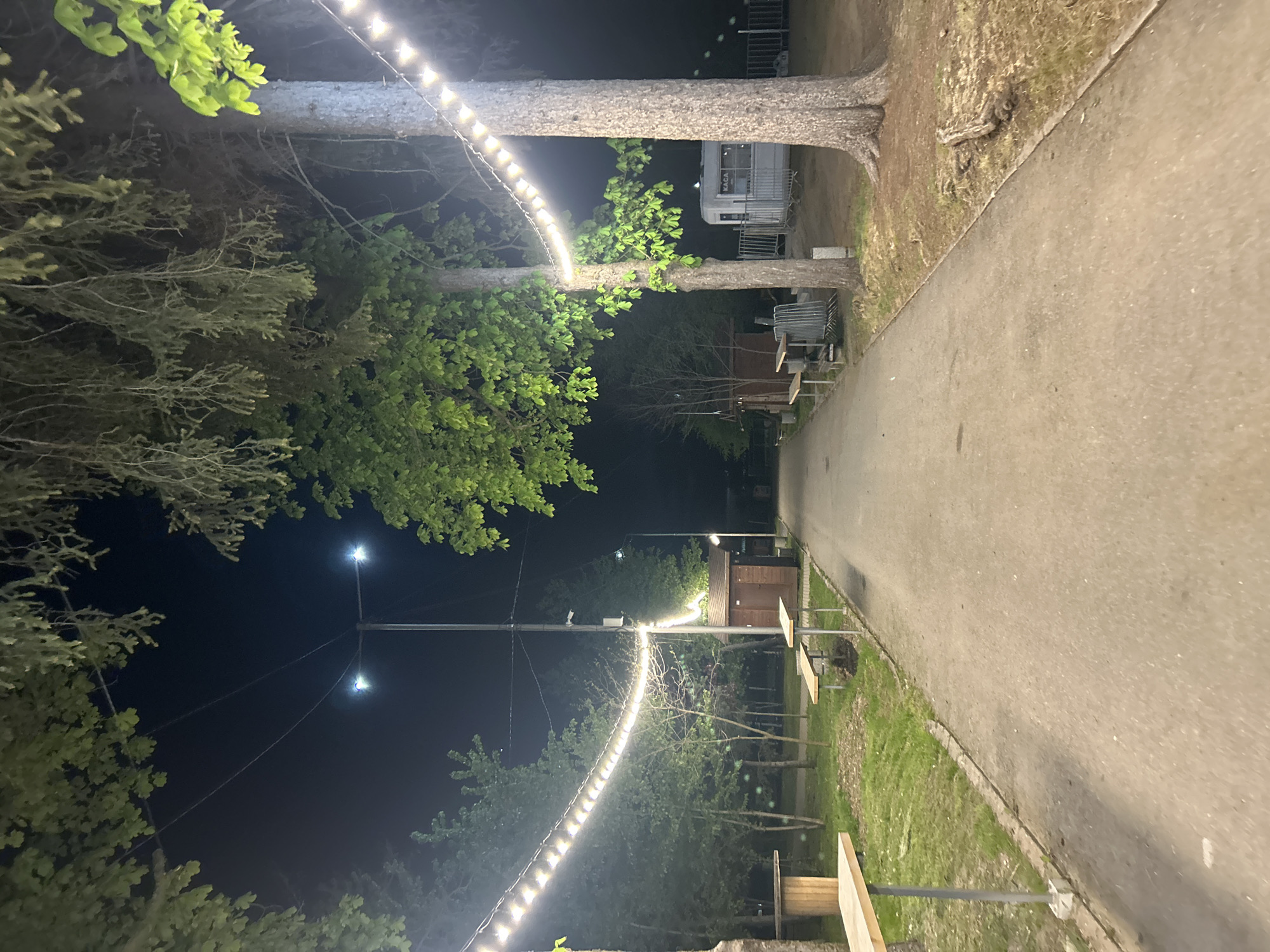 The image shows a nighttime view in Unknown, Unknown. A paved pathway stretches through the scene, bordered by trees and grassy areas. String lights are strung across the pathway, illuminating the scene. There are picnic tables along the side of the path and a small building in the distance.