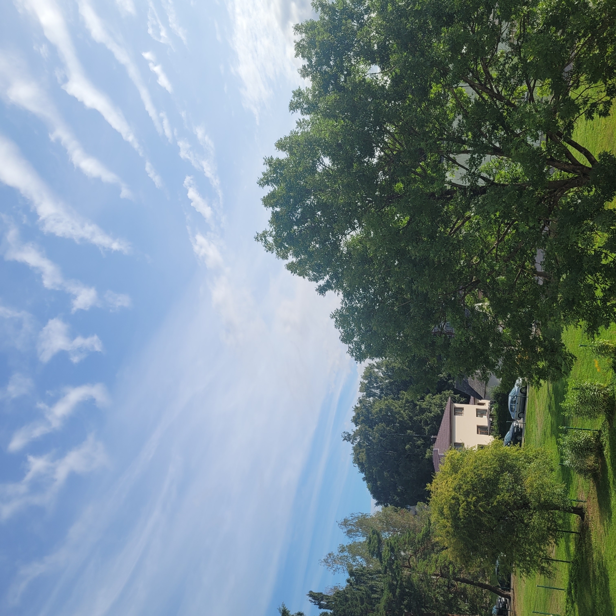 This image depicts a serene residential area in Jūrmala, Latvia, on a bright, partly cloudy day. The foreground is dominated by the lush green foliage of a large deciduous tree, its branches extending towards the viewer. Beyond the tree, a manicured lawn stretches out, bordered by a green metal fence. In the middle ground, a two-story house with a brown roof is visible, situated behind a smaller, leafy tree and a few parked cars, including a silver sedan and two dark-colored vehicles. The background is filled with dense green trees, suggesting a natural or park-like setting. The sky above is a clear blue, streaked with wispy white clouds that create a dynamic visual texture. The overall impression is one of a peaceful, suburban environment bathed in natural light.