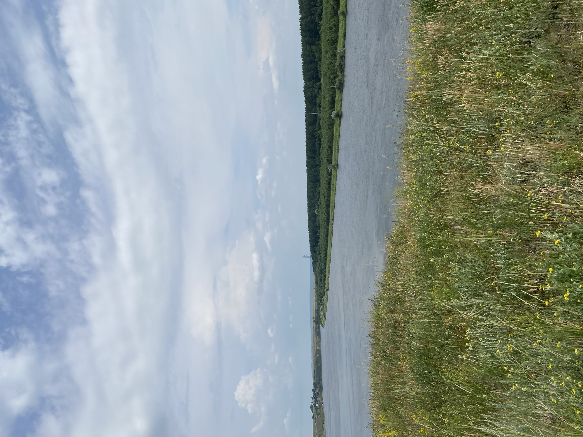 This image captures a wide, tranquil river flowing through a lush landscape under a partly cloudy sky. In the foreground, a dense field of tall green grass and scattered yellow wildflowers slopes down towards the water. The river itself appears calm, with subtle ripples on its surface reflecting the sky.

Across the river, a dense forest of green trees lines the opposite bank, extending into the distance. Beyond the trees, rolling hills form the horizon. To the left of the frame, a small cluster of buildings and a distant road are visible on the far bank, suggesting a rural or semi-rural setting. The sky is a mix of light blue and white clouds, with some larger, cumulus formations.

The scene is consistent with the natural environment found in and around Novomaltinsk, Russia, a region known for its rivers, forests, and rolling hills. The image depicts a peaceful, natural vista, devoid of any human presence or discernible activity.