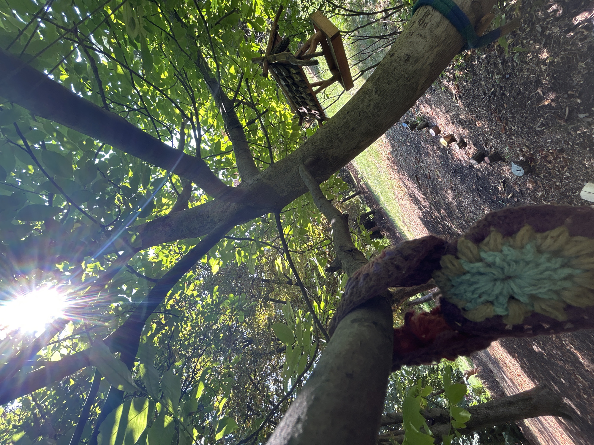 This is an outdoor shot looking up through the branches of a tree on a sunny day. The sun is shining brightly through the leaves, creating lens flares. A wooden bird feeder is visible hanging from one of the branches. On another branch, a crocheted object is hanging, adorned with colorful yarn in shades of brown, purple, green, and blue. The ground below is covered with dry leaves and twigs, and a line of small, decorative log pieces is visible. The scene appears to be in a park or garden, possibly in Krasnodar, Russia, given the context of the request.