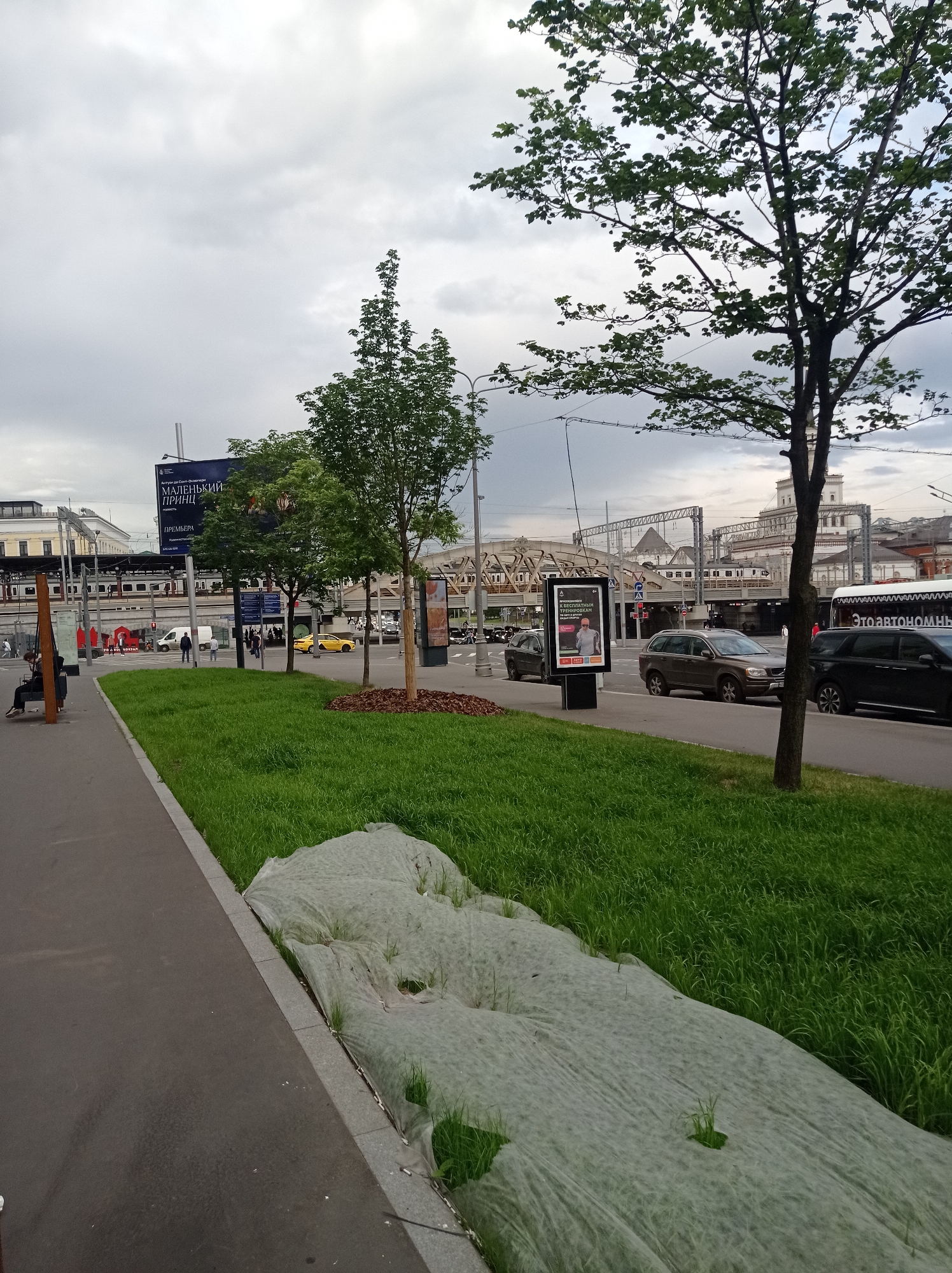 The image depicts a street scene in Moscow, Russia, likely near a railway station, given the presence of tracks and a train. The perspective is from a sidewalk looking across a grassy area towards a road with traffic.
In the foreground, a paved sidewalk runs along the left side of the image. Adjacent to it is a strip of freshly laid sod, partially covered by a light-colored fabric, with some green shoots emerging. This grassy area extends into the middle ground.
A road runs parallel to the sidewalk, with several cars visible. To the left, a yellow taxi is stopped in traffic. A dark SUV is parked on the right side of the road, and a black SUV is further down. A white bus with dark lettering, possibly advertising, is also present on the right side.
In the background, a railway line is clearly visible with a train stopped at a station platform. Overhead railway infrastructure and a large building, likely the station itself, dominate the skyline. A large billboard is mounted on the side of a building or structure, displaying text in Russian, including what appears to be an advertisement for a play or film.
Several trees are scattered throughout the scene, with a large tree on the right side of the image casting a shadow. People are sparsely distributed, with a few individuals sitting on a bench on the sidewalk to the far left, and others walking near the train station. The sky is overcast, suggesting a cloudy day. The overall impression is one of an urban environment in Moscow, likely a transportation hub, with recent landscaping efforts in progress.